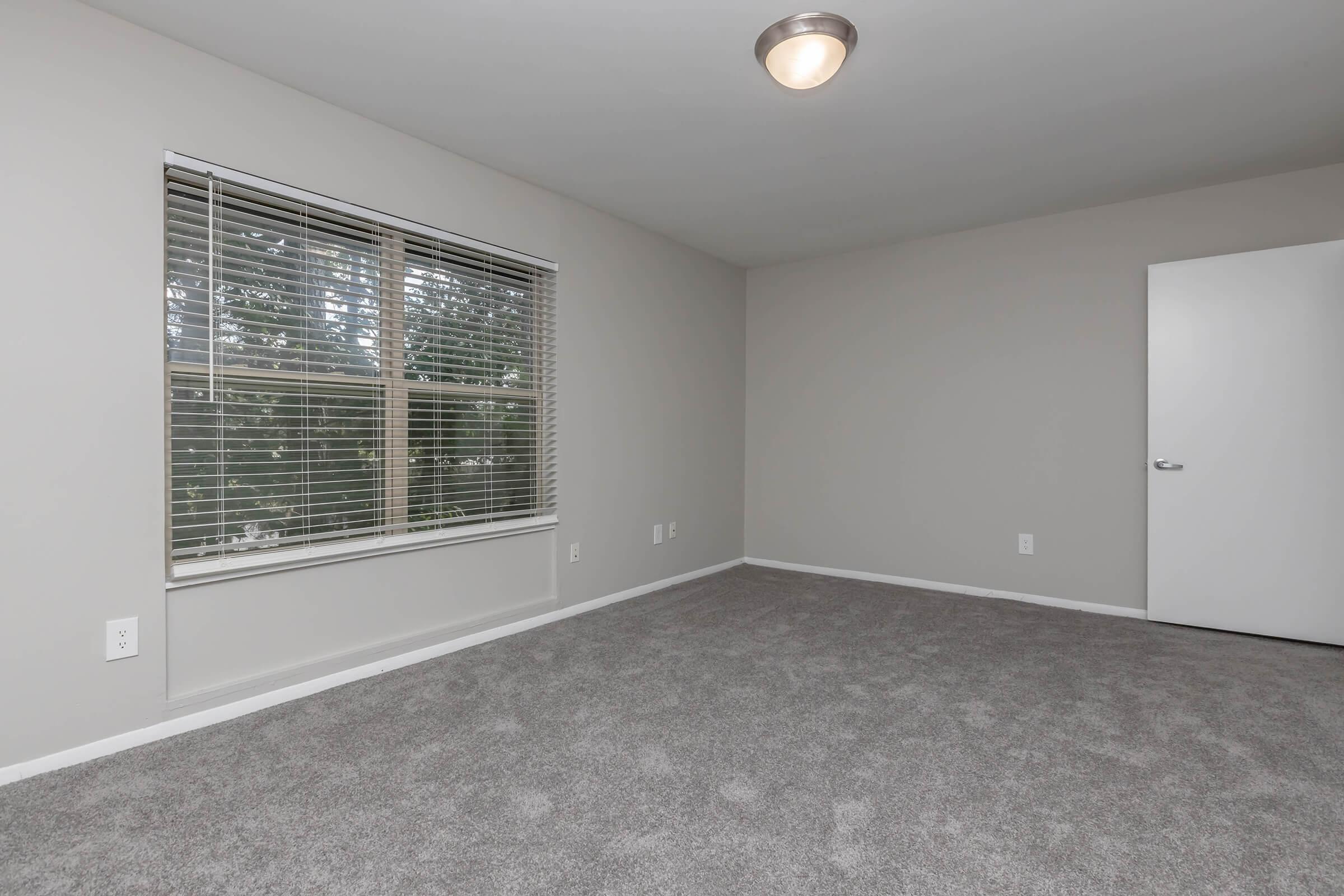 A spacious, empty room featuring light gray carpet and neutral-colored walls. A window with blinds lets in natural light, and a white door is visible on the right side of the image. The overall ambiance is clean and minimalist, suitable for various purposes.