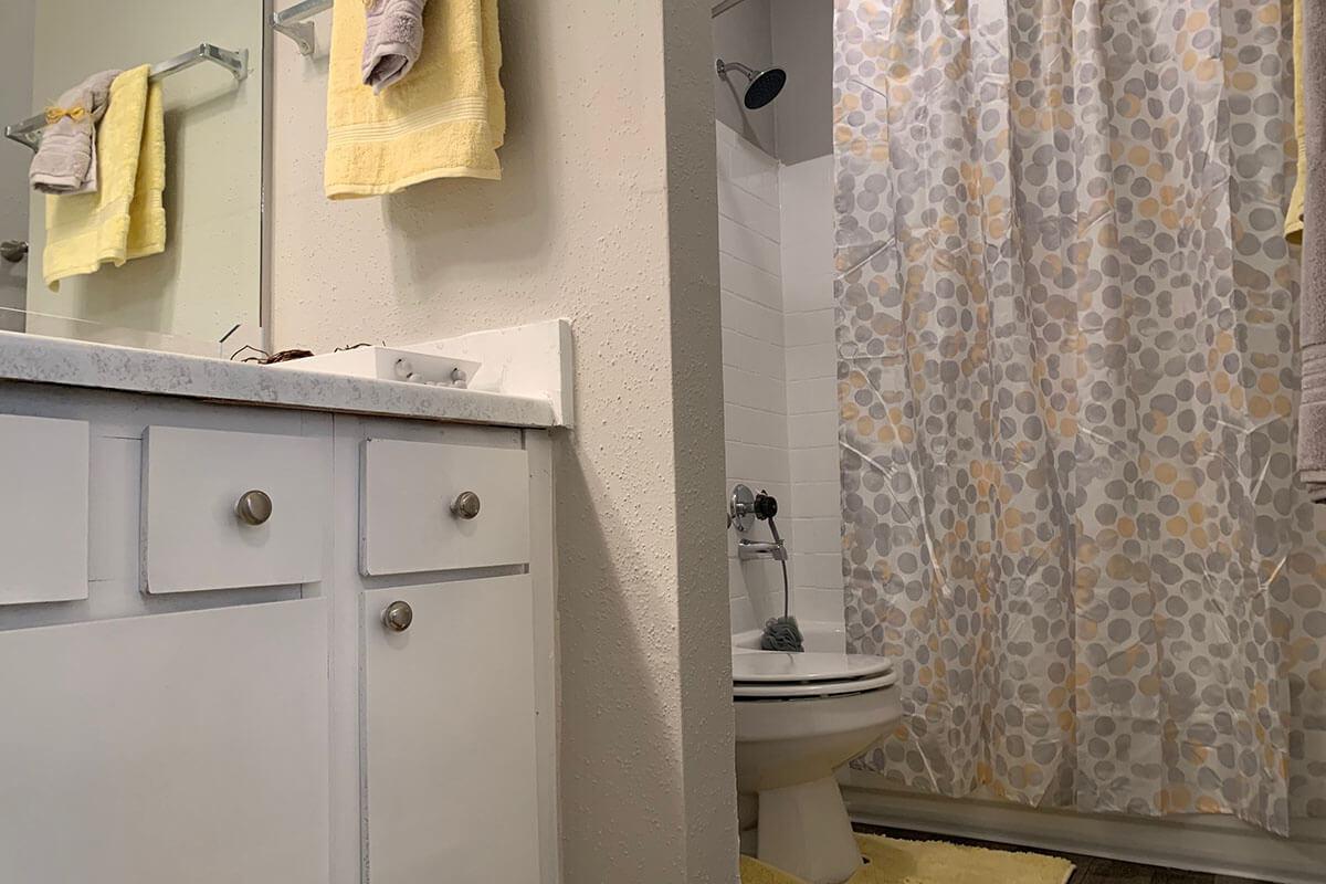 a shower curtain next to a sink