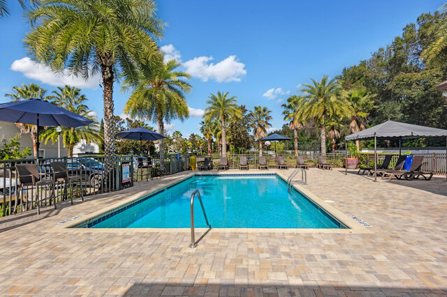 a group of palm trees next to a pool