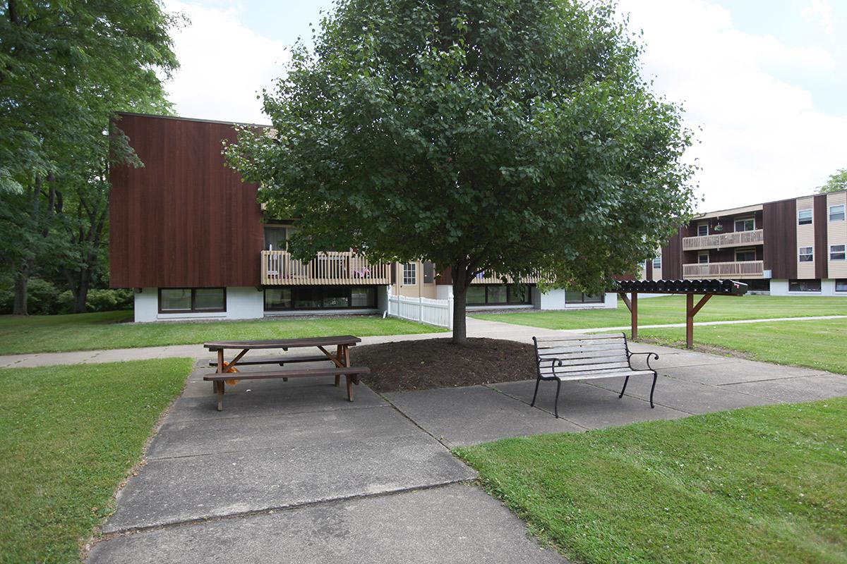 an empty park bench sitting in the grass
