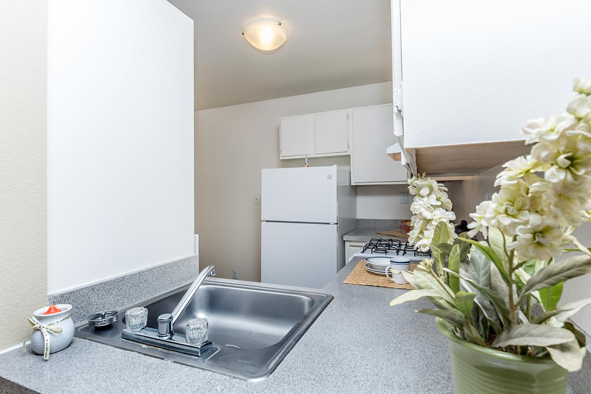 a vase of flowers on a kitchen counter