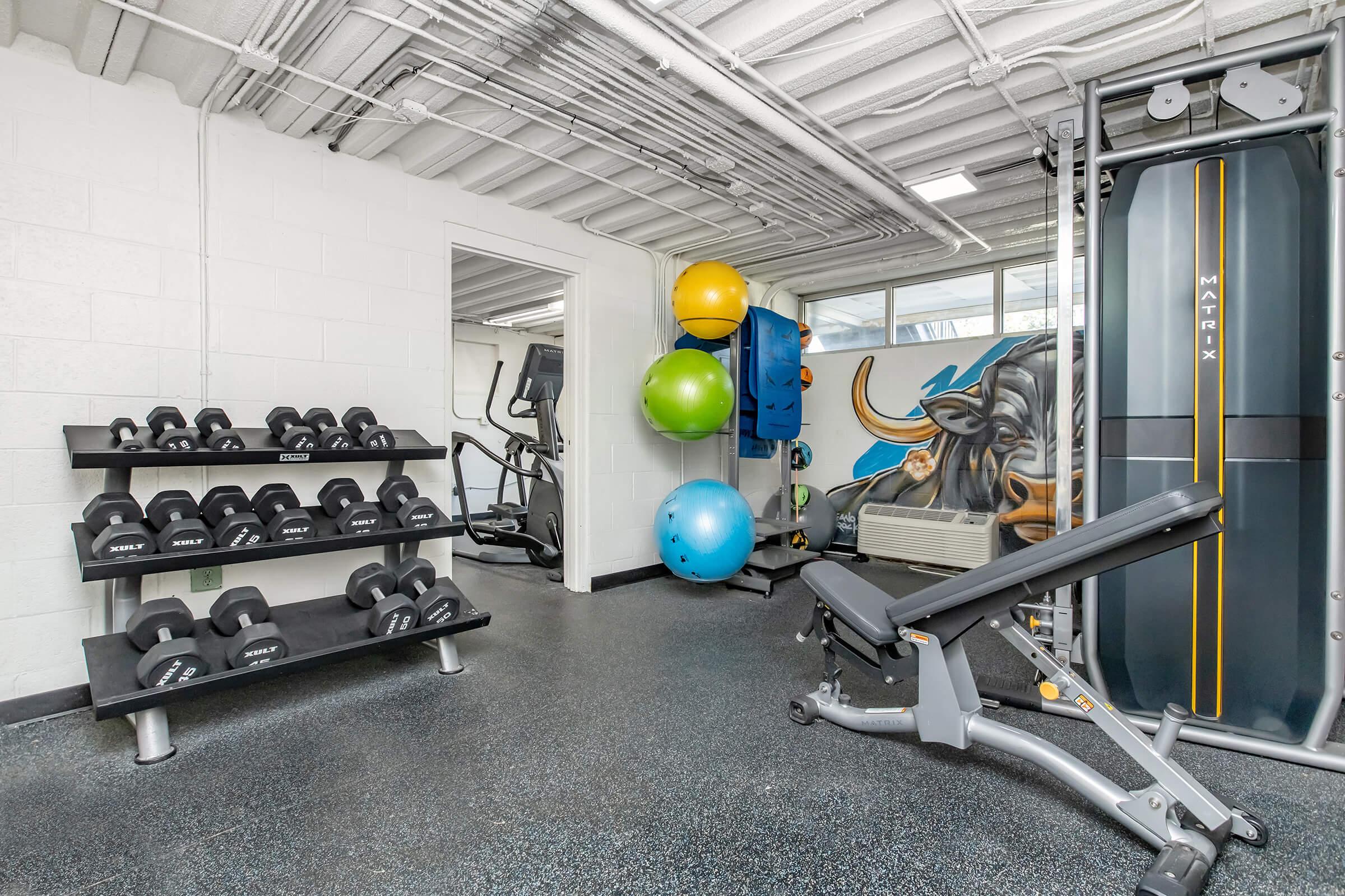 A modern gym interior featuring a rack of dumbbells, exercise equipment including a cable machine, stability balls in various colors, and a colorful mural on the wall. The space is well-lit with overhead lighting and has a clean, functional design suitable for workouts.
