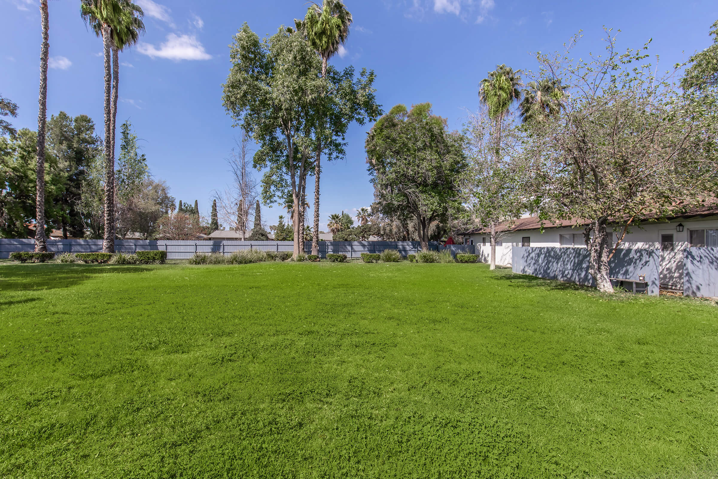 Community Amenities