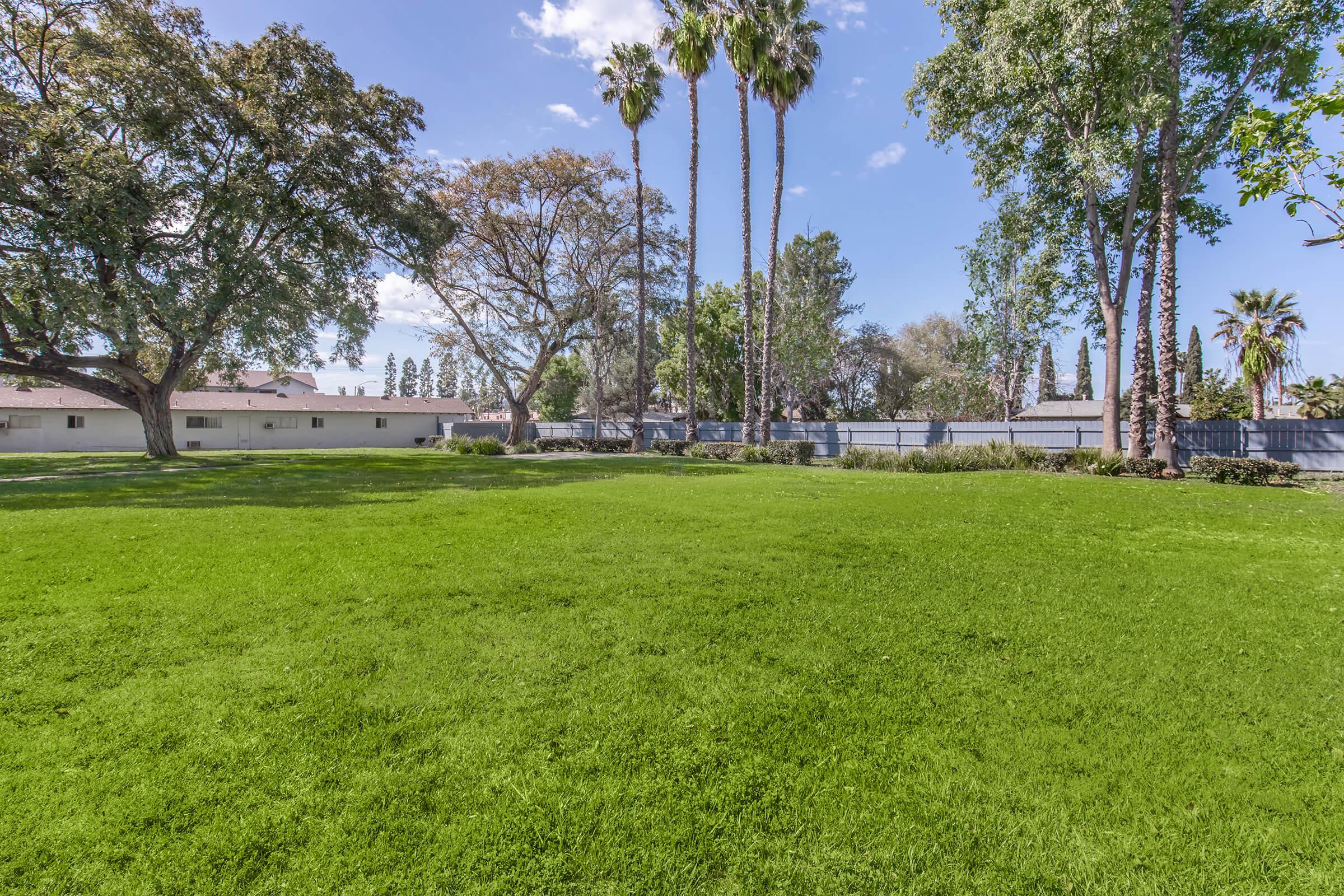 Lush green lawn surrounded by trees, including tall palm trees. In the background, there are some buildings and a clear blue sky with scattered clouds. Perfectly manicured grass creates a vibrant and inviting outdoor space.