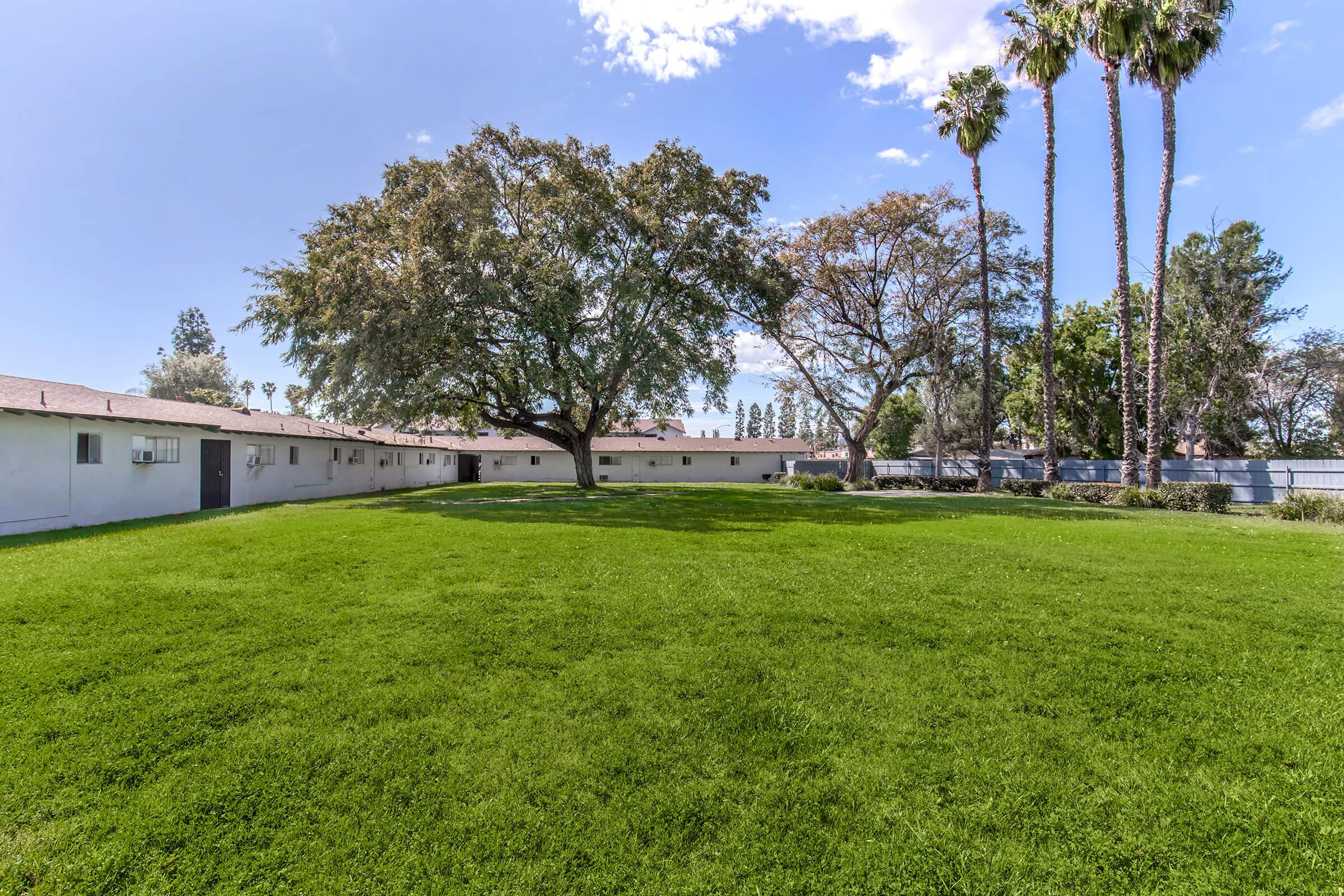 A spacious green lawn surrounded by trees and a low building with several windows. In the background, there are tall palm trees and a clear blue sky with scattered clouds. The scene conveys a serene outdoor setting.