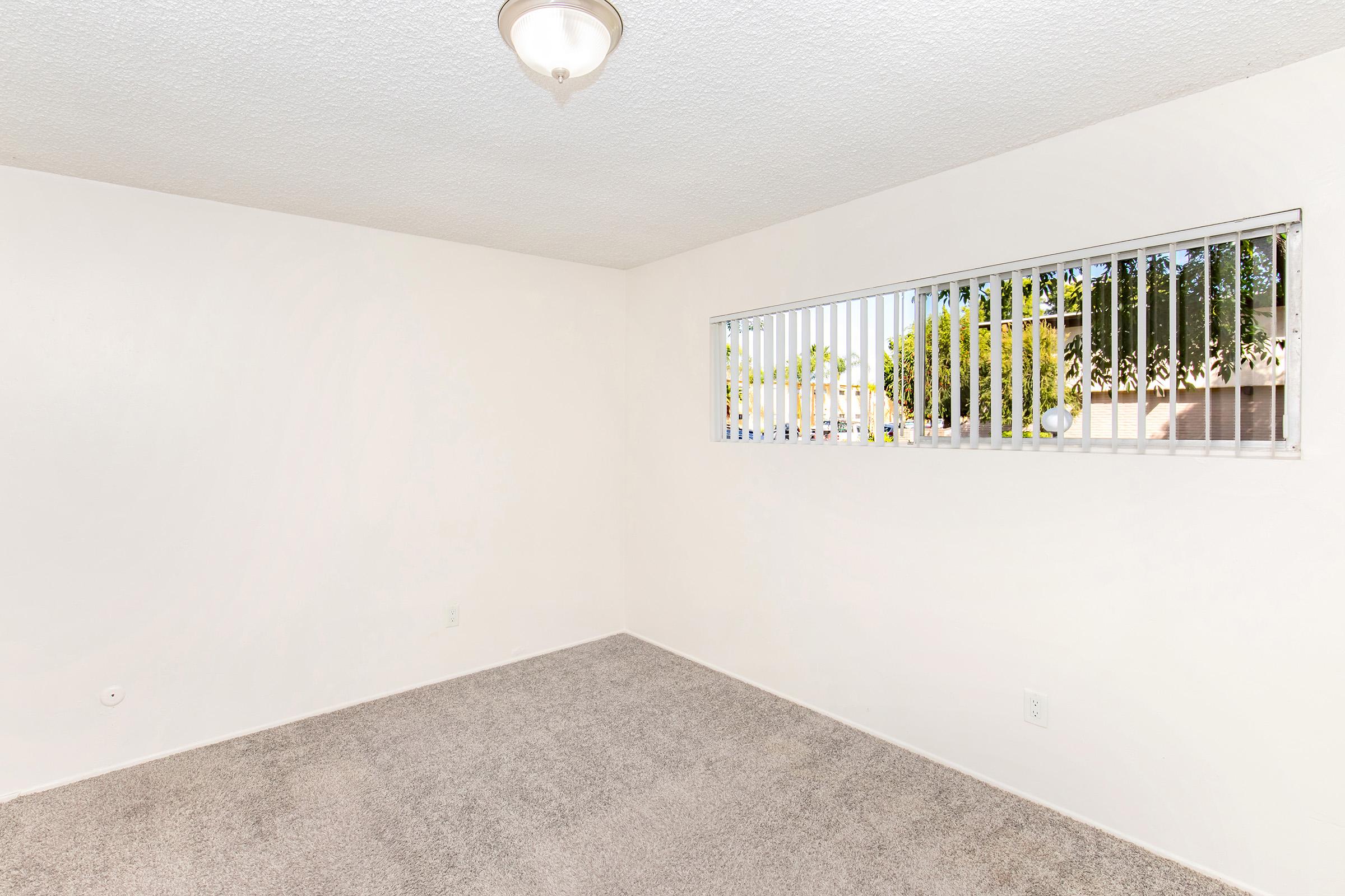 Empty room with light beige carpet and white walls. A narrow window with blinds lets in natural light, offering a view of greenery outside. The ceiling features a simple light fixture, contributing to a bright and open feel in the space.