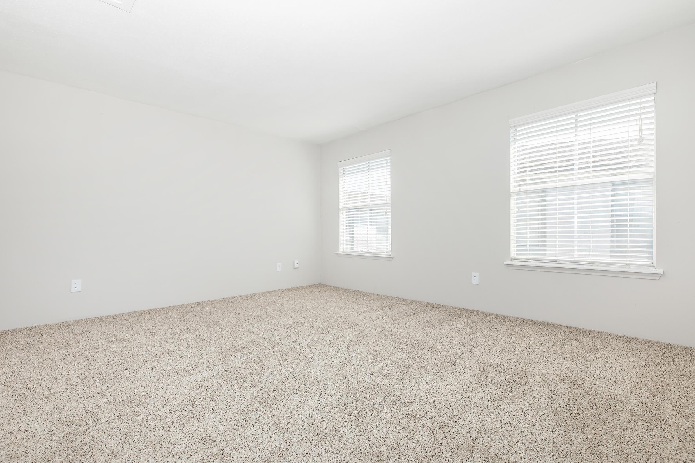 Empty room with light beige carpet flooring, pale gray walls, and two windows with white blinds allowing natural light to enter. The space is uncluttered, offering a clean and open feel, ideal for various uses or furnishings.