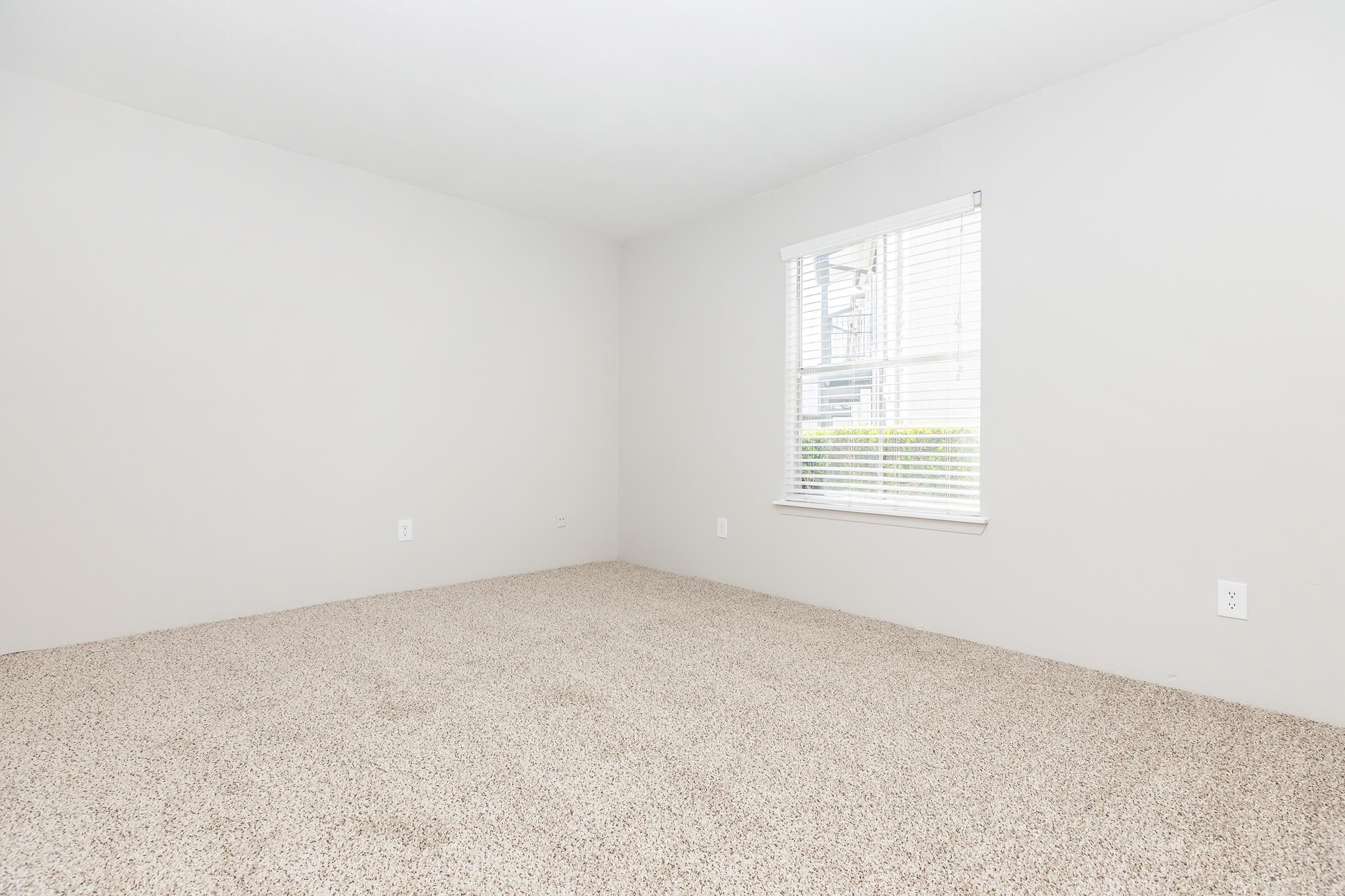 Empty room with beige carpet flooring and light gray walls. A window with white blinds allows natural light to enter, offering a view of greenery outside. There are minimal architectural features, creating a spacious and neutral atmosphere.