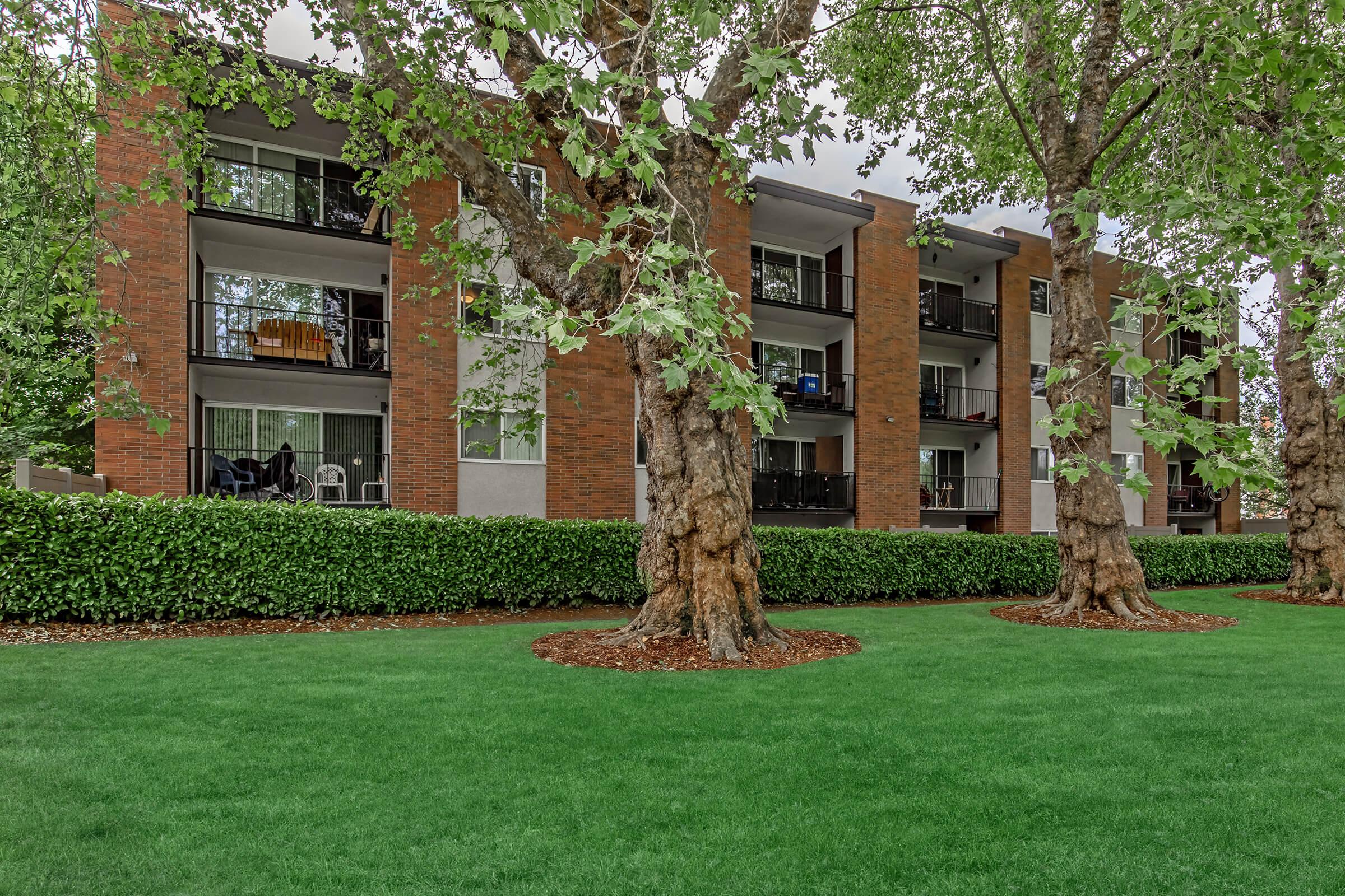 A view of a modern brick apartment building with multiple balconies, set against a well-maintained green lawn. Two large trees with textured bark are in the foreground, providing shade, while manicured hedges line the perimeter of the building. The sky is overcast, creating a calm atmosphere.