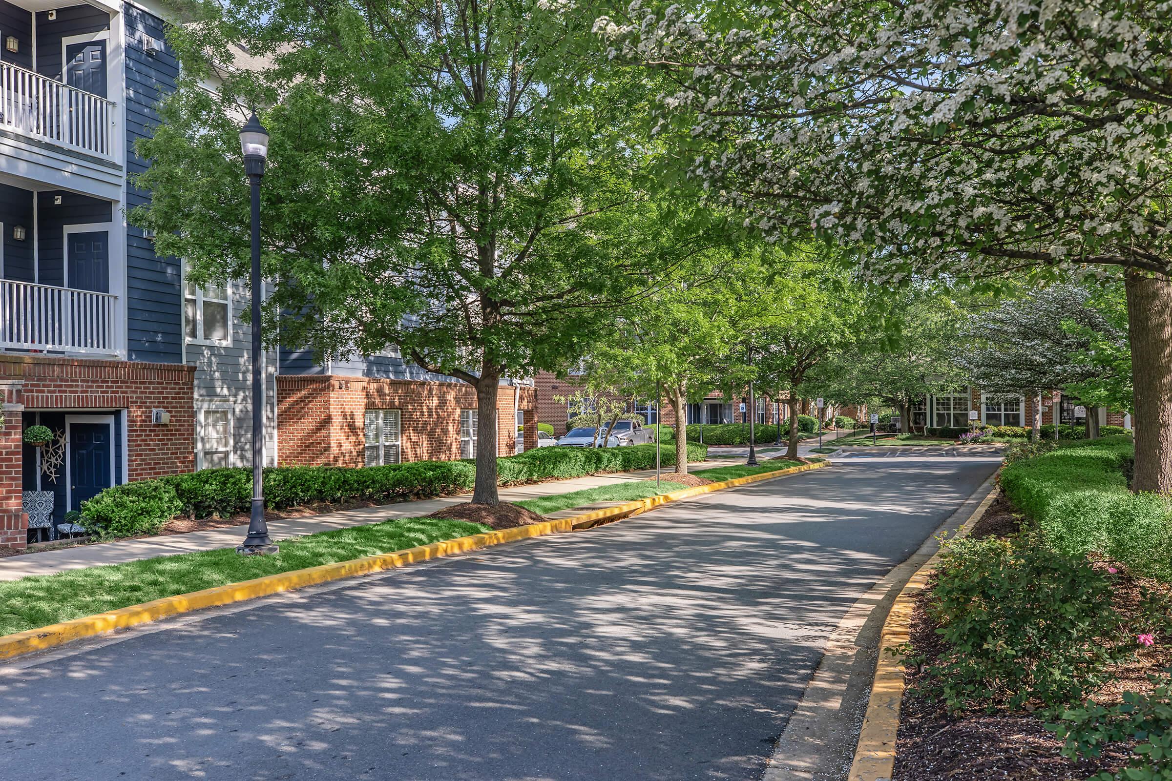 A tree-lined street in a residential area, featuring well-maintained sidewalks, green grass, and flowering trees. The image shows buildings with balconies on one side and a peaceful, inviting atmosphere. There’s a soft sunlight filtering through the leaves, creating a serene environment.