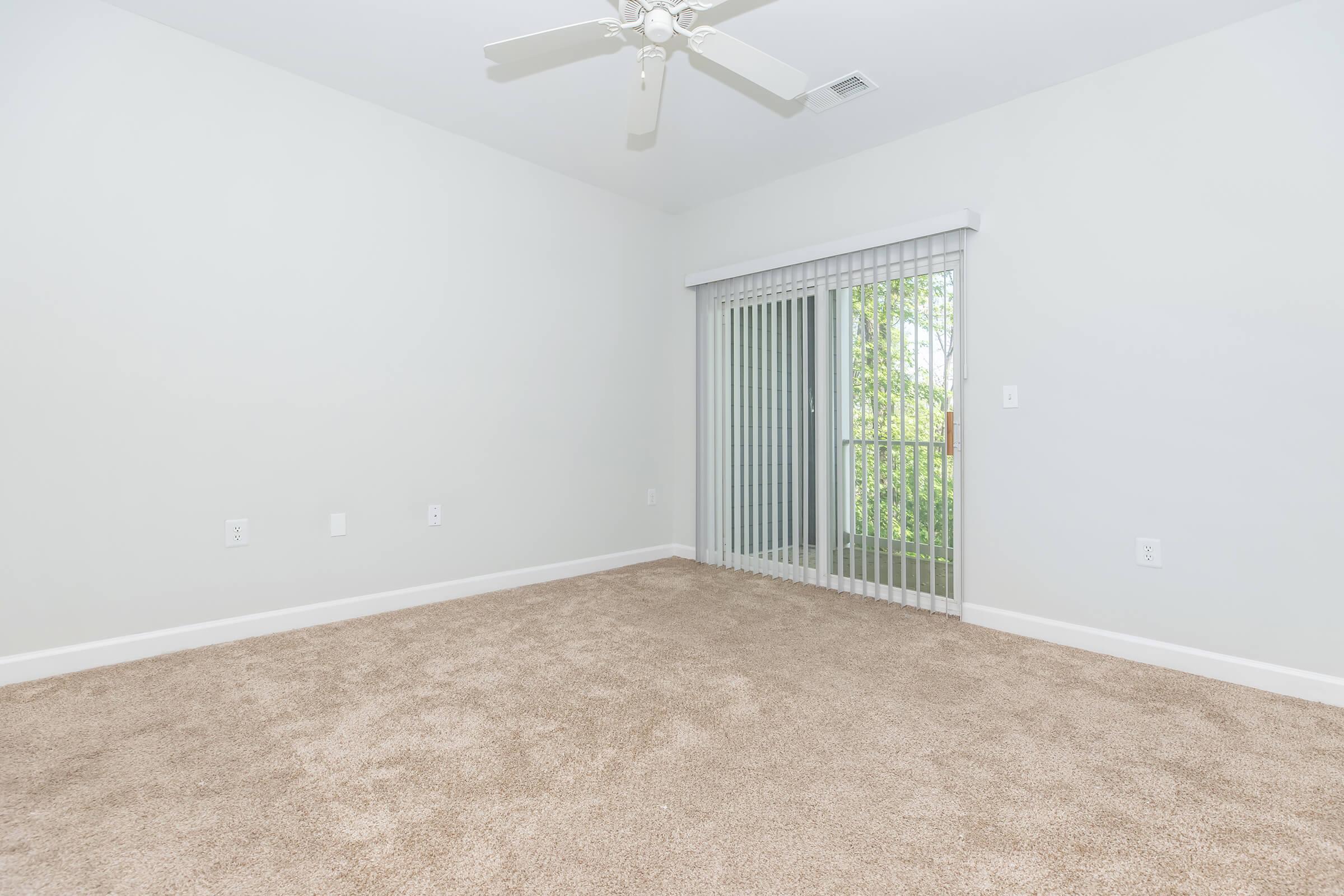A spacious room with beige carpet and light gray walls. A ceiling fan is installed, and a large window with vertical blinds offers a view of greenery outside. The room is empty, providing a blank canvas for decoration or furniture placement. Natural light fills the space.