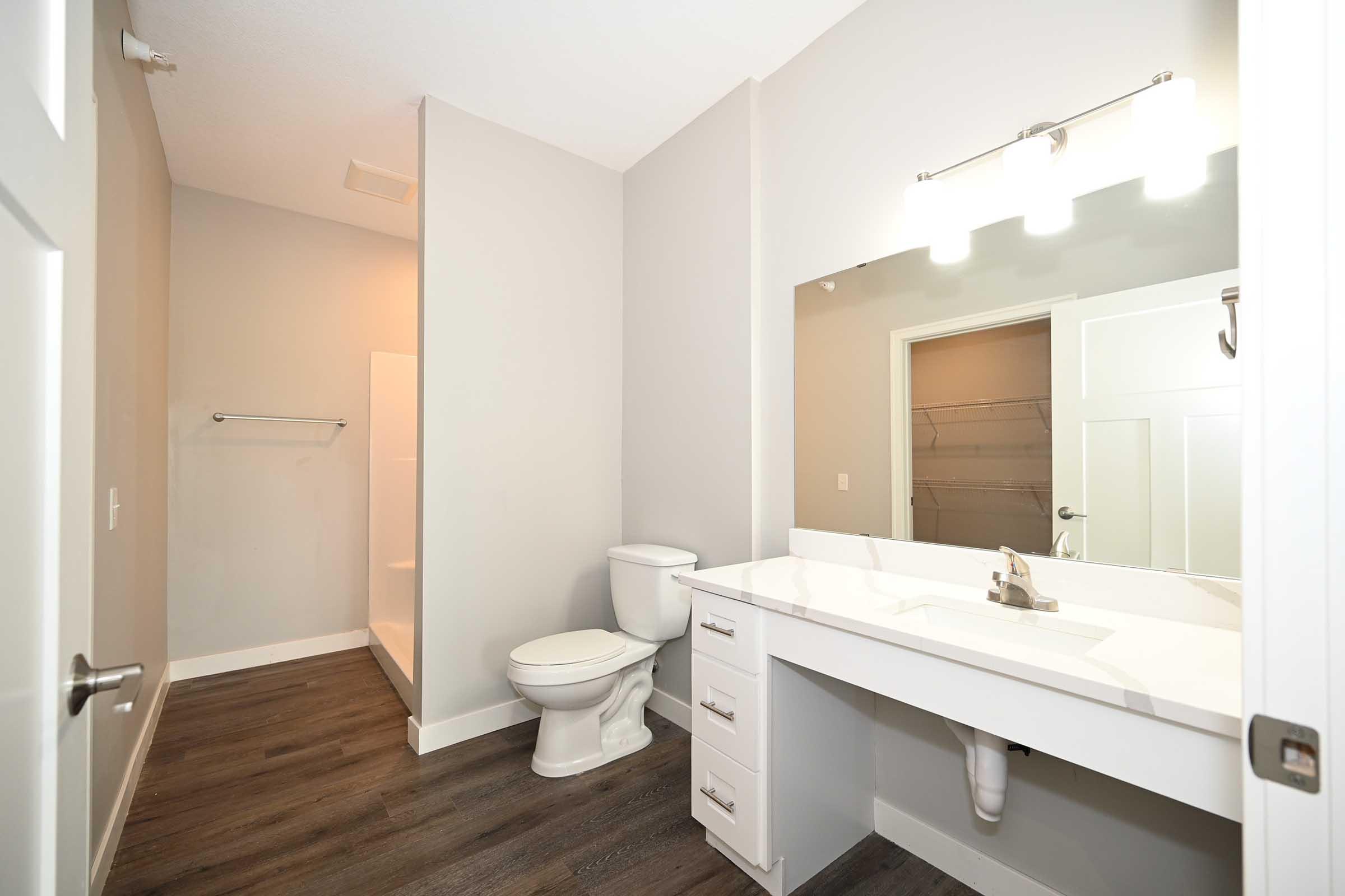 A modern bathroom featuring a white vanity with a sink, a mirror with overhead lighting, a toilet, and a separate shower area. The walls are painted light gray, and the flooring is dark wood. The space is well-lit and uncluttered, showcasing a contemporary design.