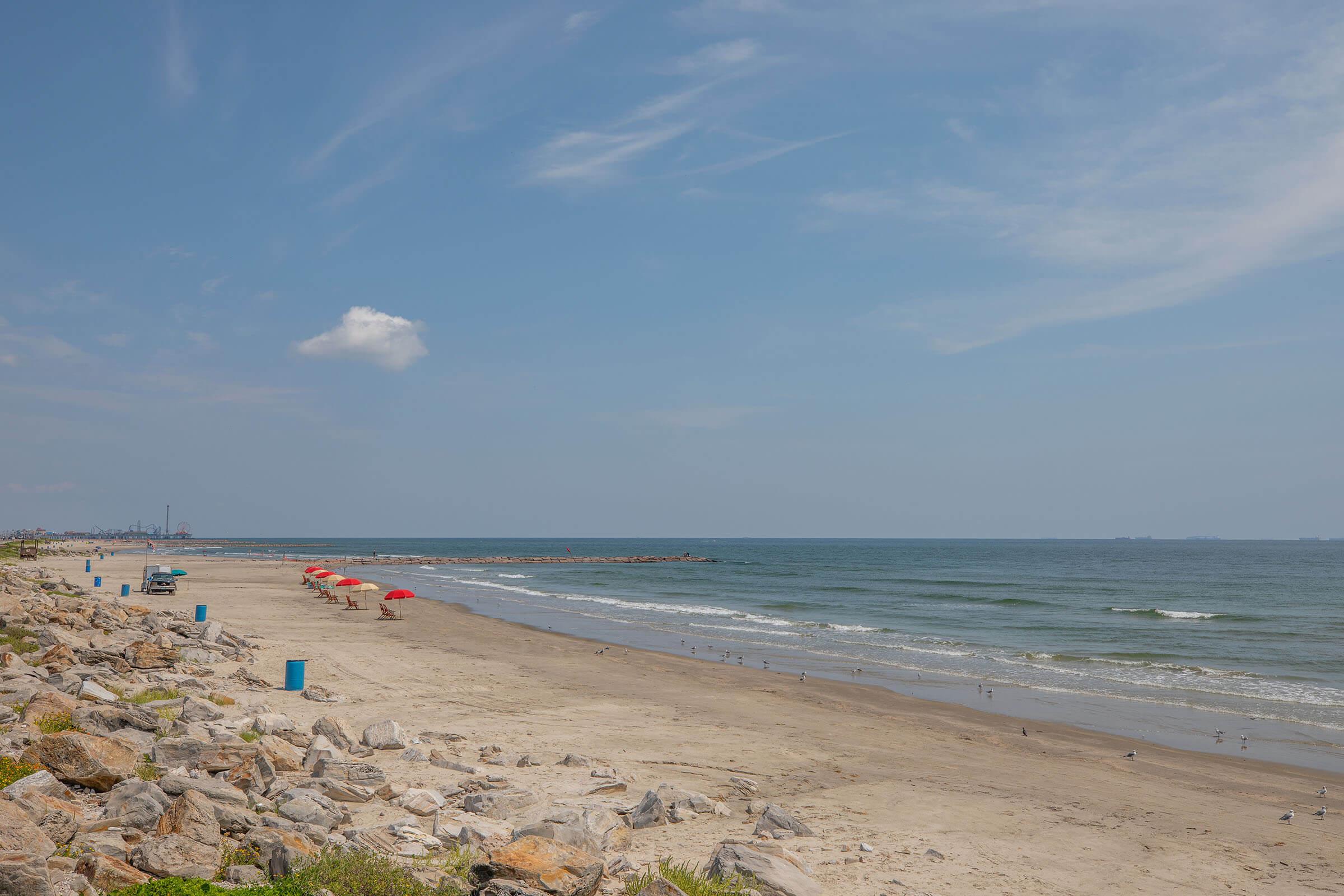 a group of people on a beach