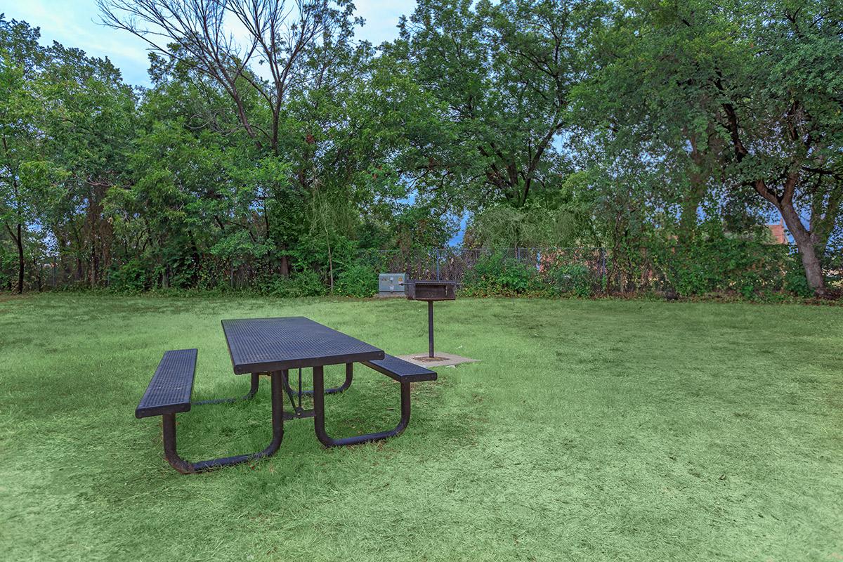 a picnic table and barbecue with green grass