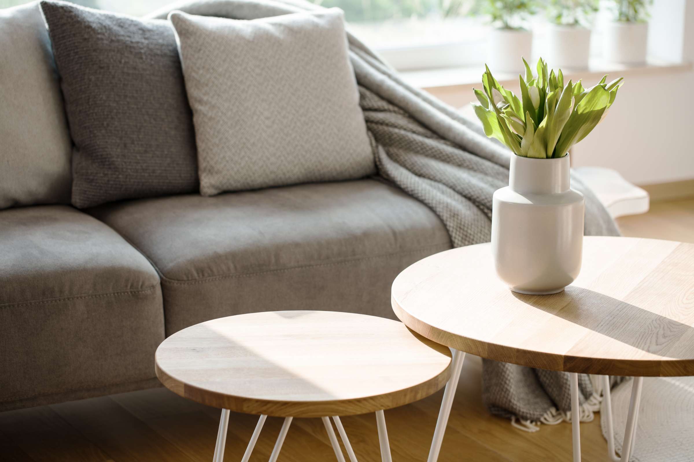 Apartment Features