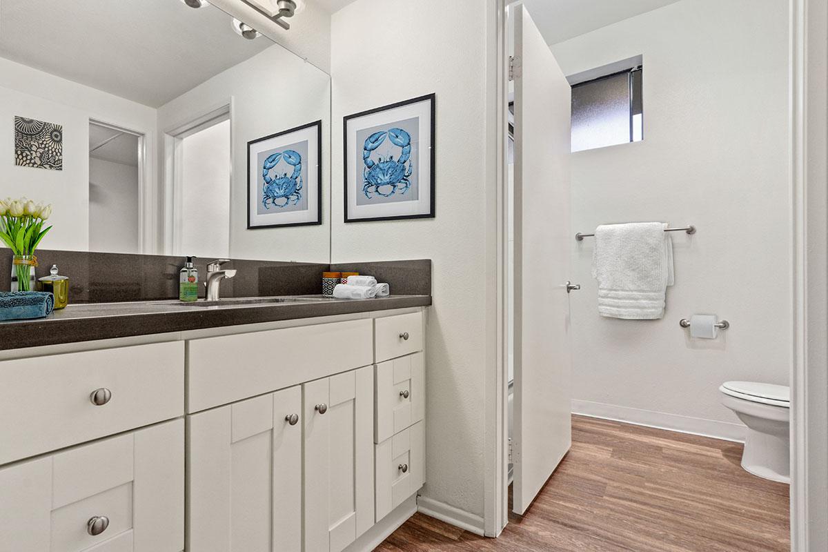 a kitchen with a sink and a mirror