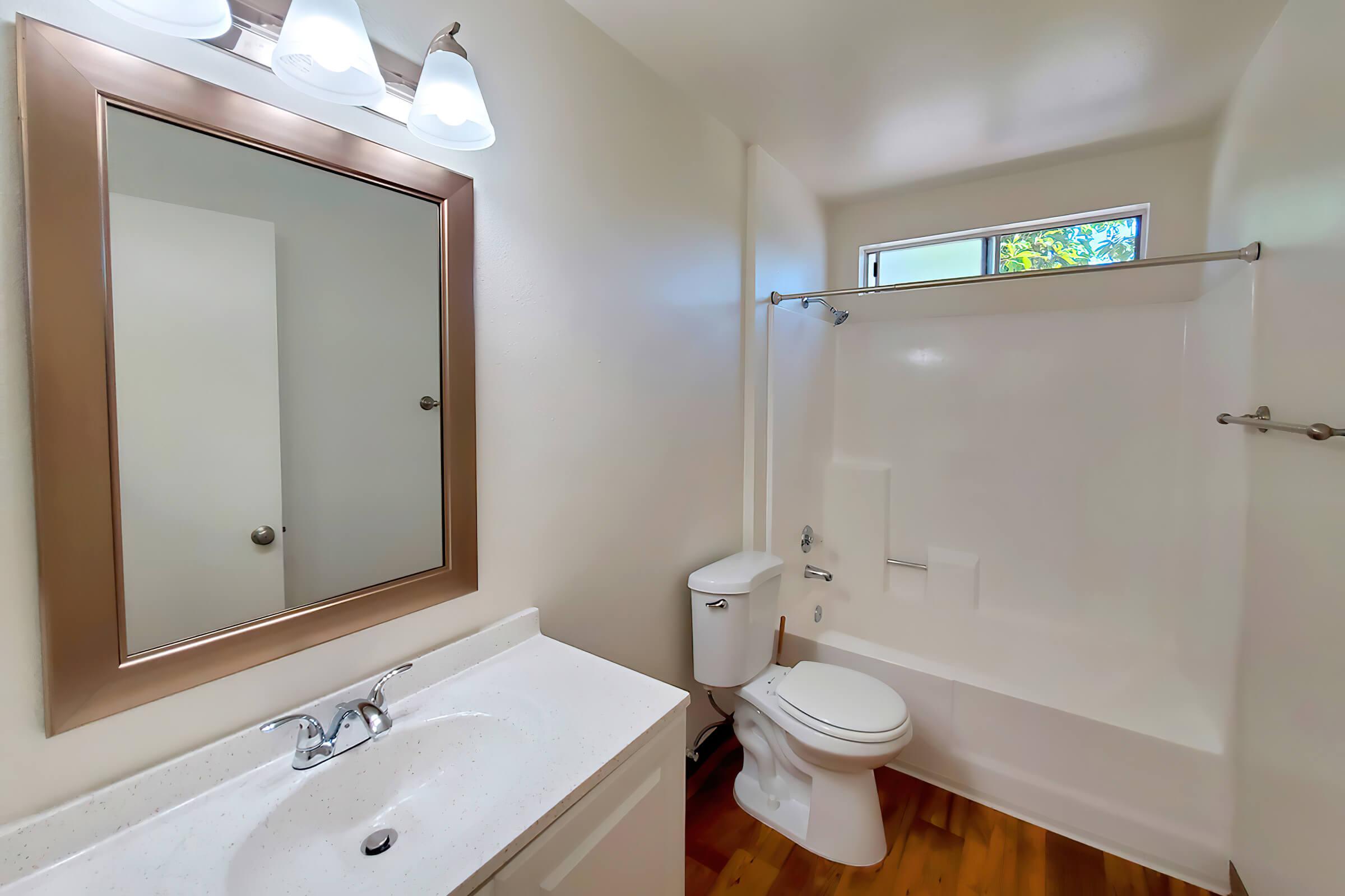 a sink and a mirror