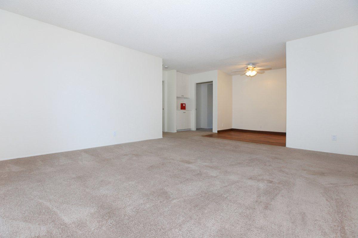 a large empty room