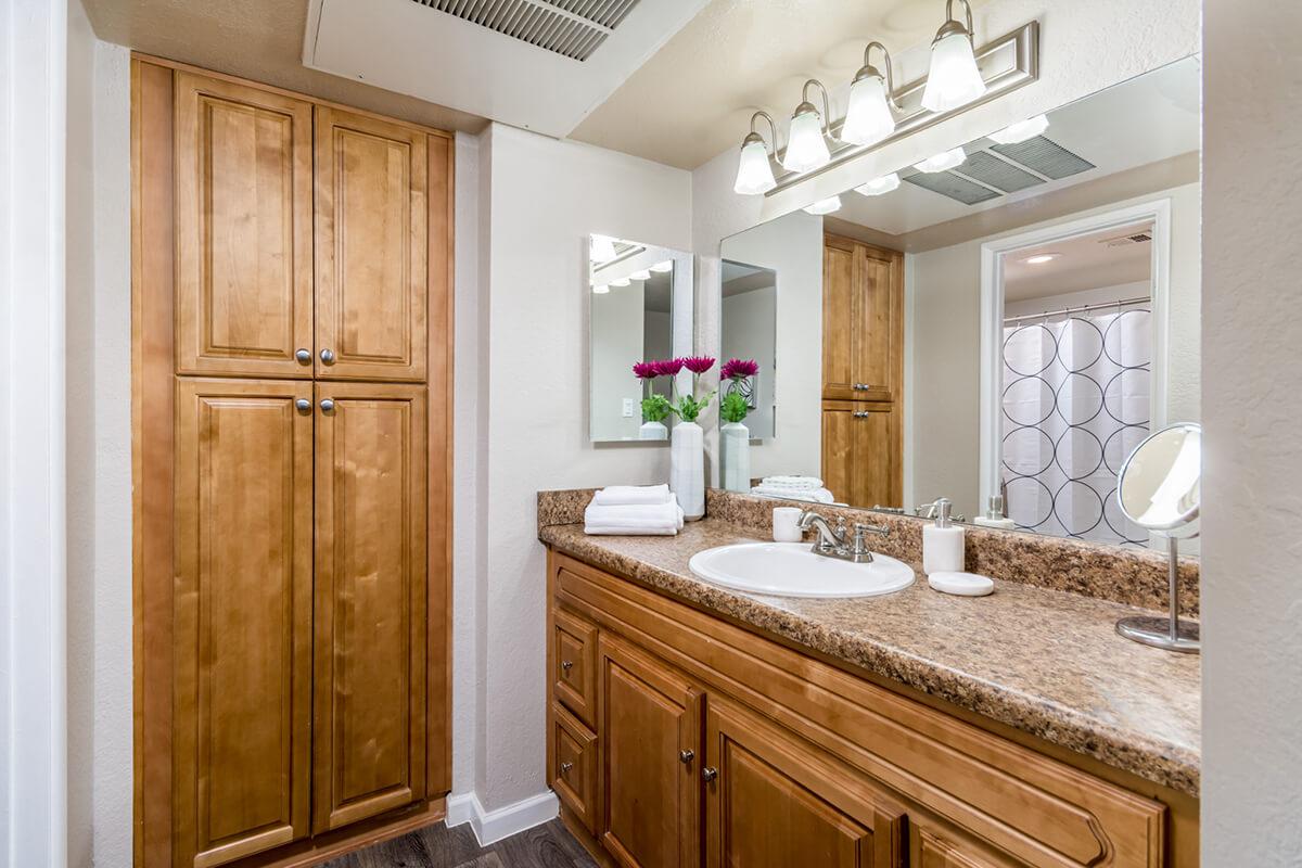 Bathroom with Ample Storage - Spring Apartments - Phoenix - Arizona