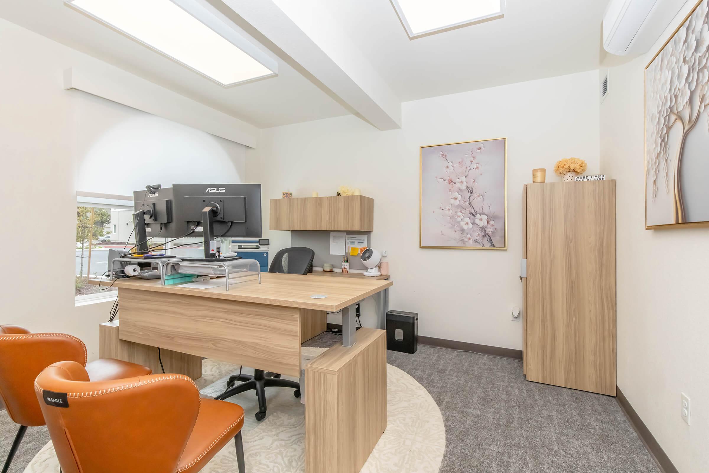 A modern office space featuring a wooden desk with a computer monitor, a comfortable chair, storage cabinet, and a light-colored rug. Large windows provide natural light, and decorative elements include a framed artwork of flowers and a small plant. The overall design is clean and professional.