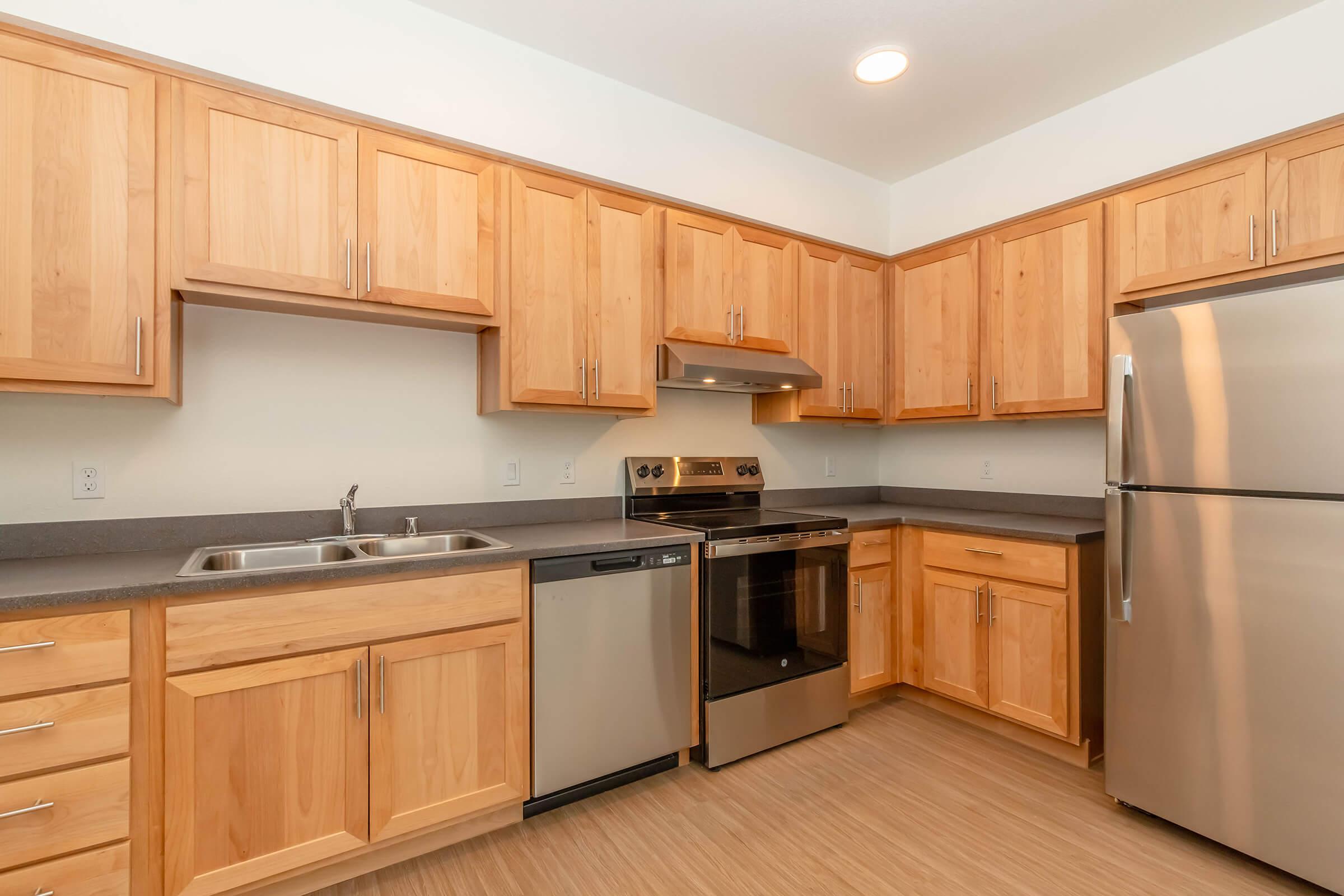 Modern kitchen with wooden cabinets, stainless steel appliances including a refrigerator, dishwasher, and oven. A double sink is situated under a window, with ample counter space and neutral-colored walls, creating a bright and inviting atmosphere.