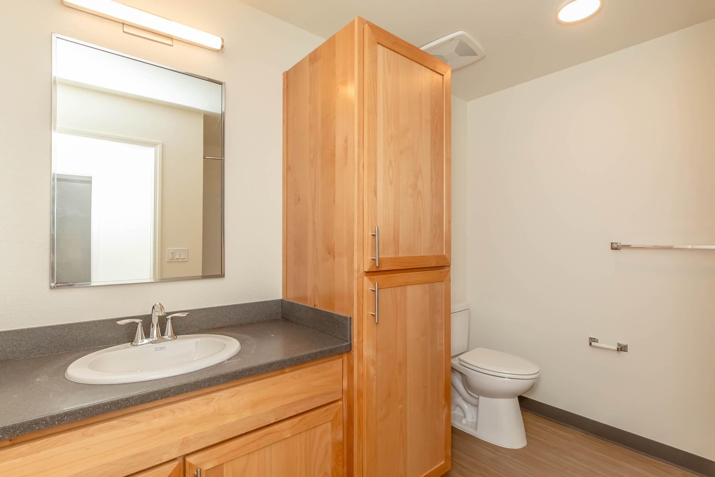 Bathroom featuring wood cabinetry and a countertop sink. A mirror is mounted above the sink, with a toilet and towel bar visible in the background. The flooring is light-colored, and the walls are painted in a neutral tone, creating a clean and modern appearance.