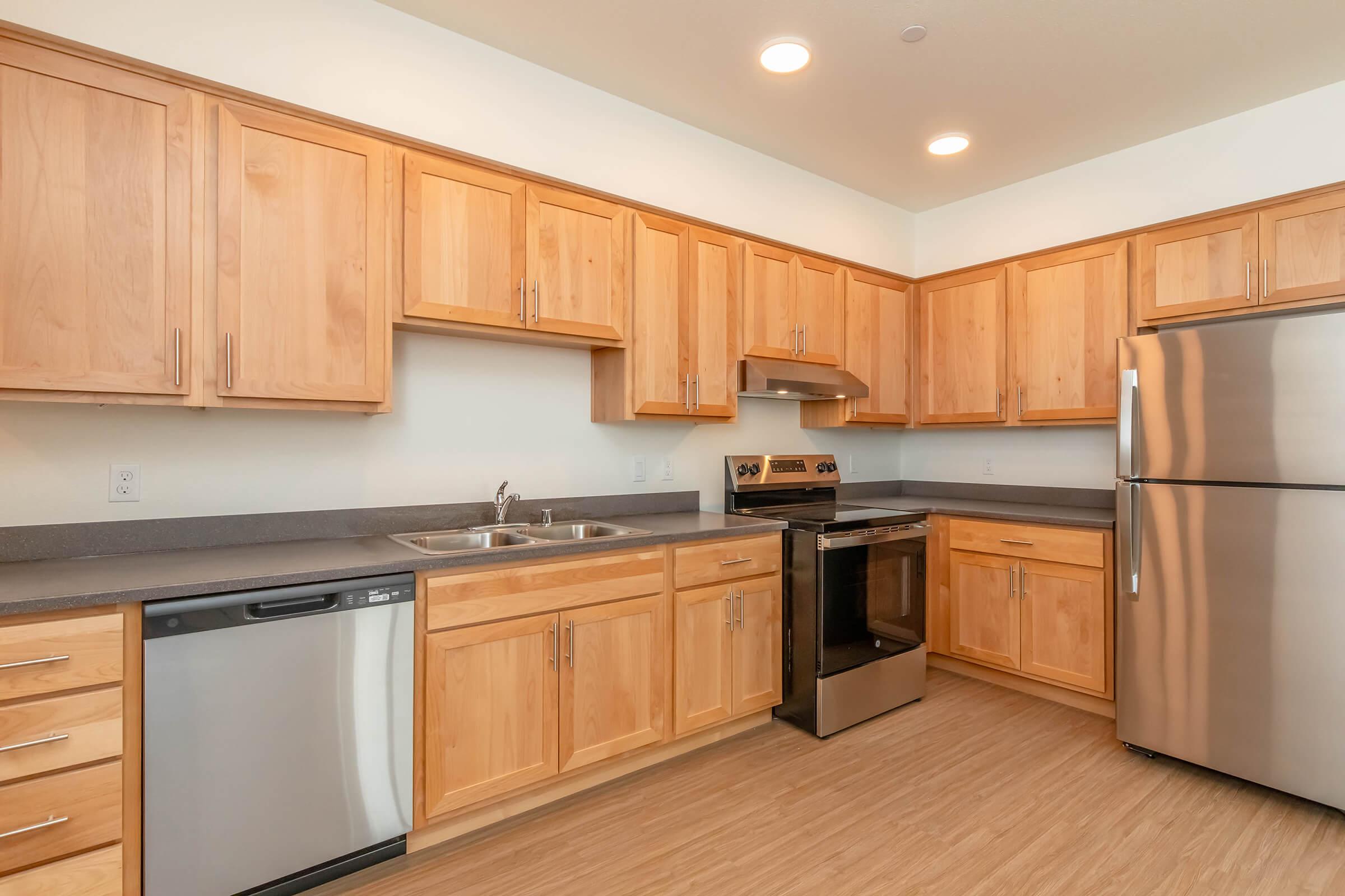 Modern kitchen featuring light wood cabinetry, stainless steel appliances including a refrigerator and oven, a double sink, and a dishwasher. The countertops are dark and the flooring is a light wood finish. Recessed lighting illuminates the space.