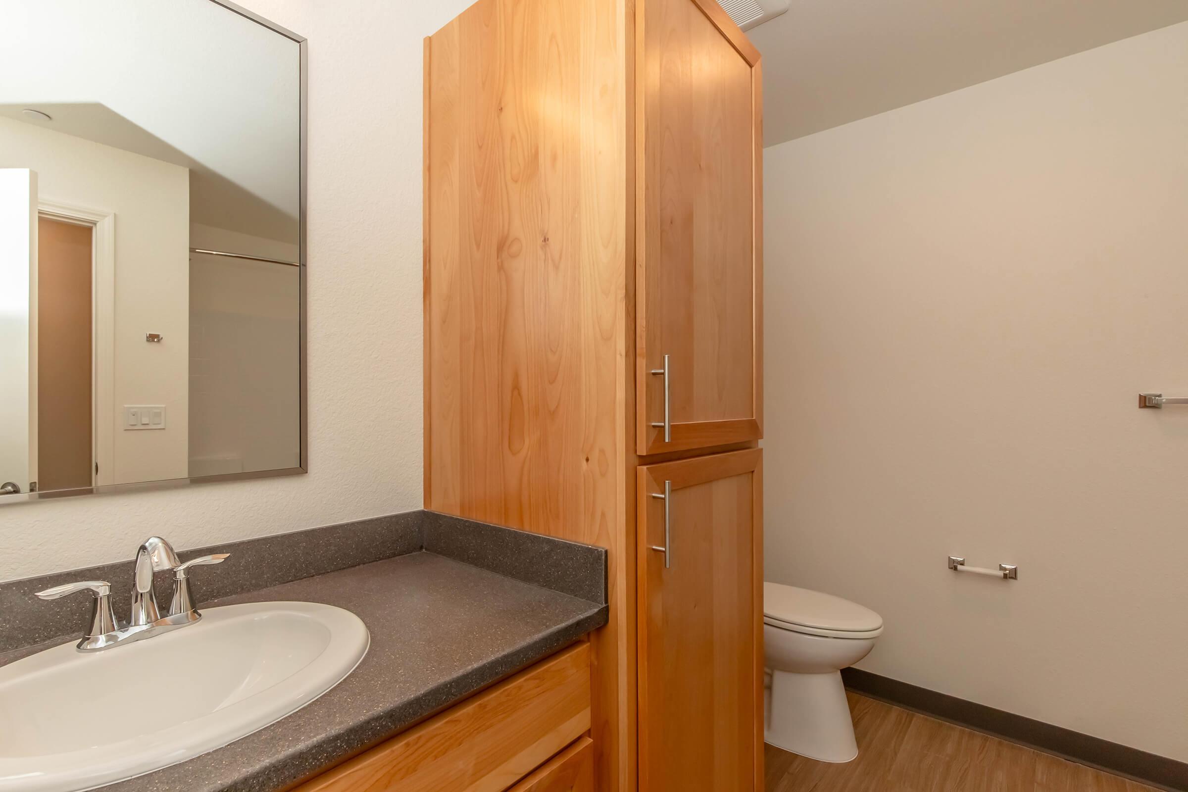 A small bathroom featuring a countertop with a sink, a mirror above it, a wooden cabinet, and a toilet. The walls are painted light, and the flooring is wood-like. The space is well-lit and minimalist in design.