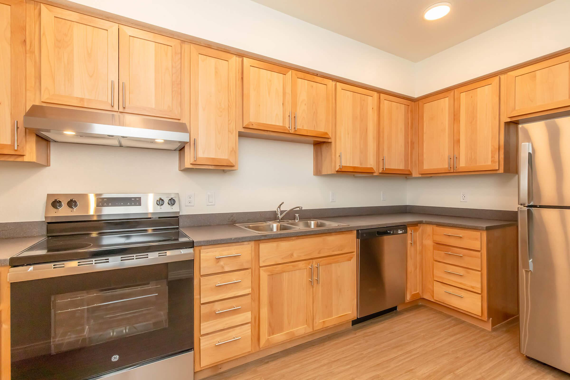 Modern kitchen featuring light wooden cabinets, stainless steel appliances including an oven, dishwasher, and refrigerator, a double-basin sink, and a countertop with a smooth finish. The space is well-lit with natural light and has a warm, inviting atmosphere.