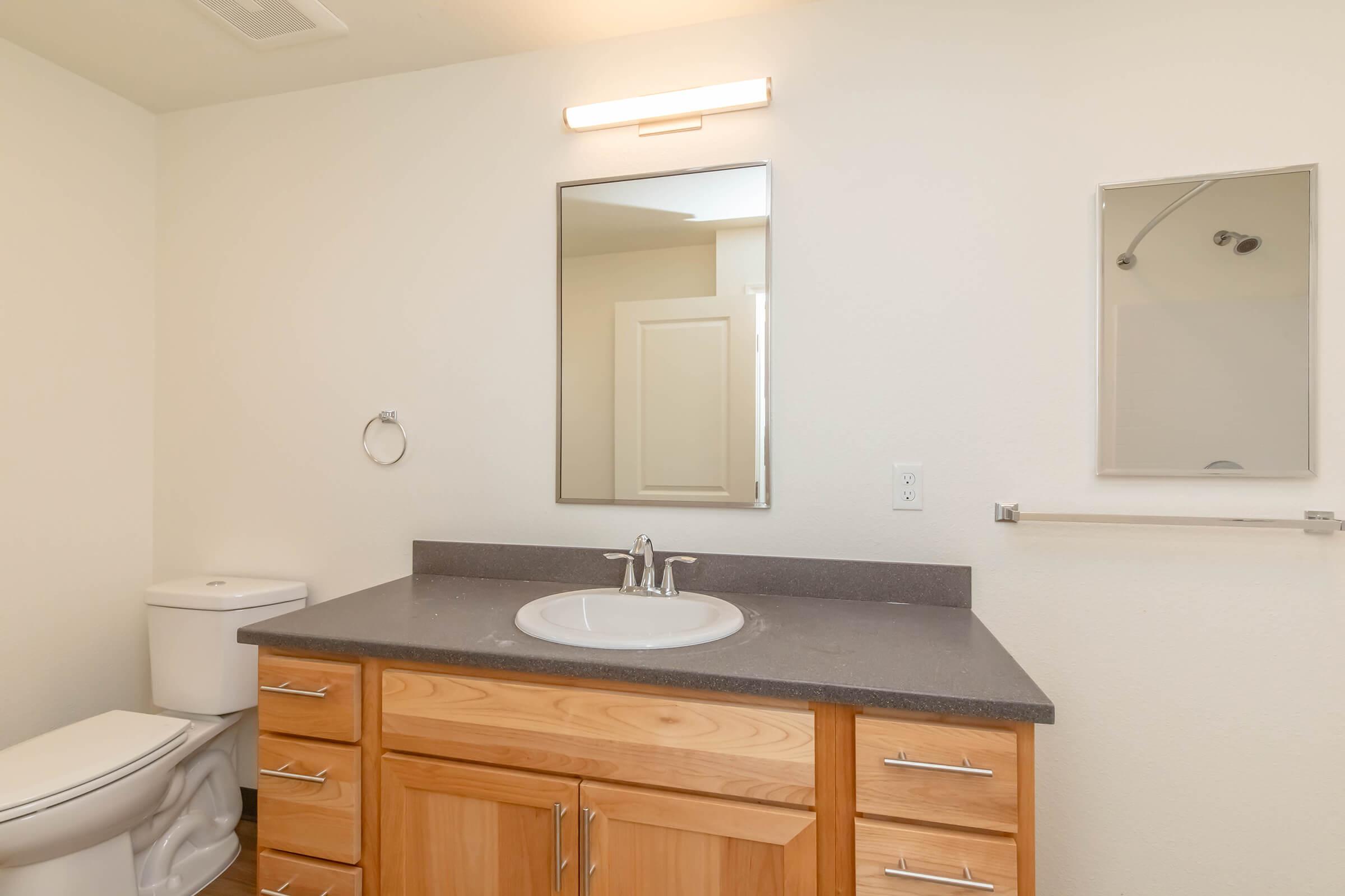 Modern bathroom featuring a wooden vanity with a round sink, a large mirror above, and a towel holder. The space includes a white toilet and a simple shower area with a glass partition. Bright, neutral-colored walls create a clean and spacious ambiance.