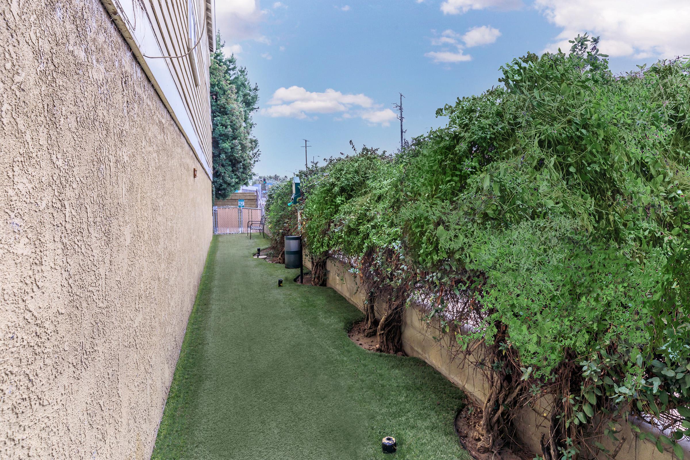 A narrow outdoor pathway bordered by a wall on one side and dense green foliage on the other. The ground is covered with artificial grass, and there is a glimpse of a blue sky with scattered clouds above. The setting appears quiet and somewhat secluded.