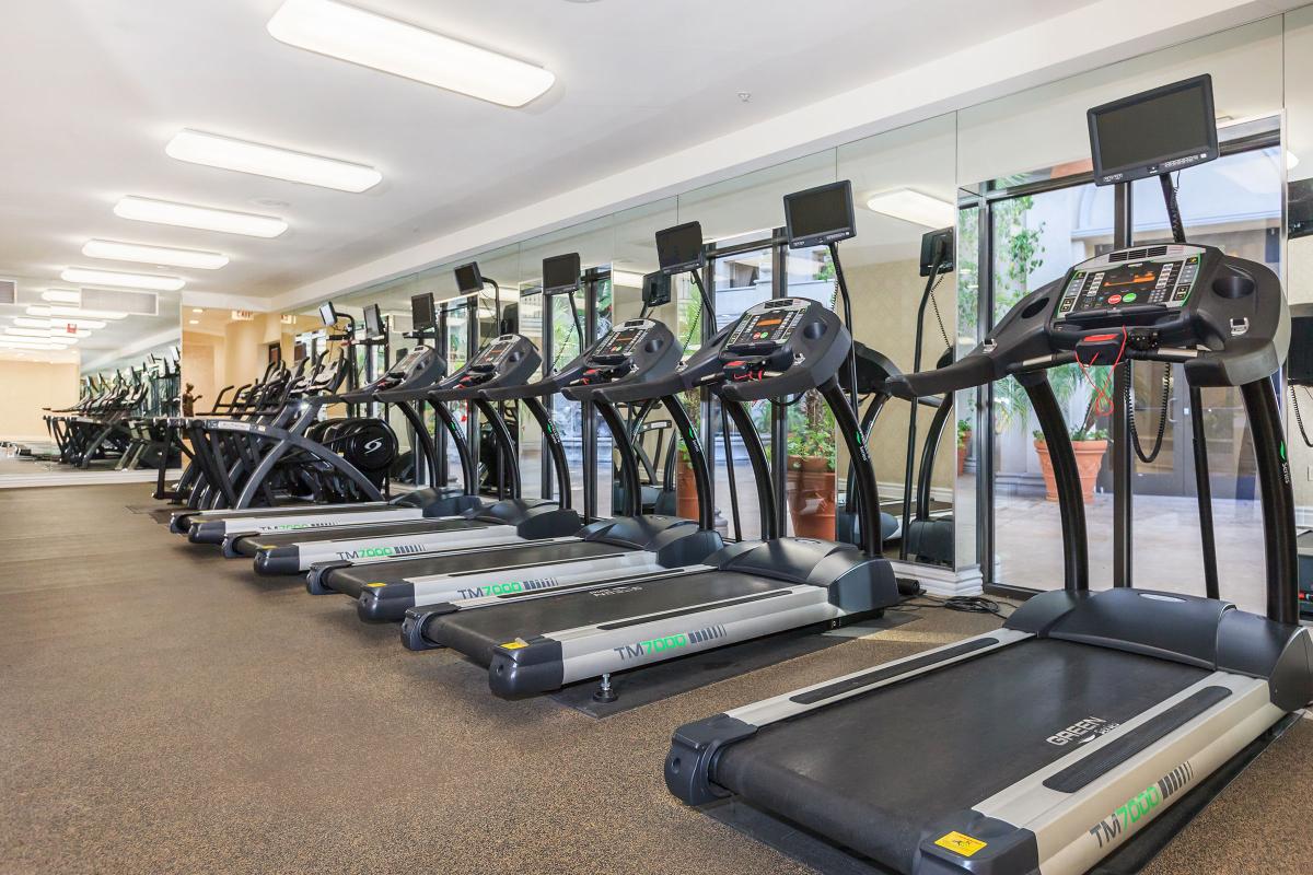 Treadmills in the community gym