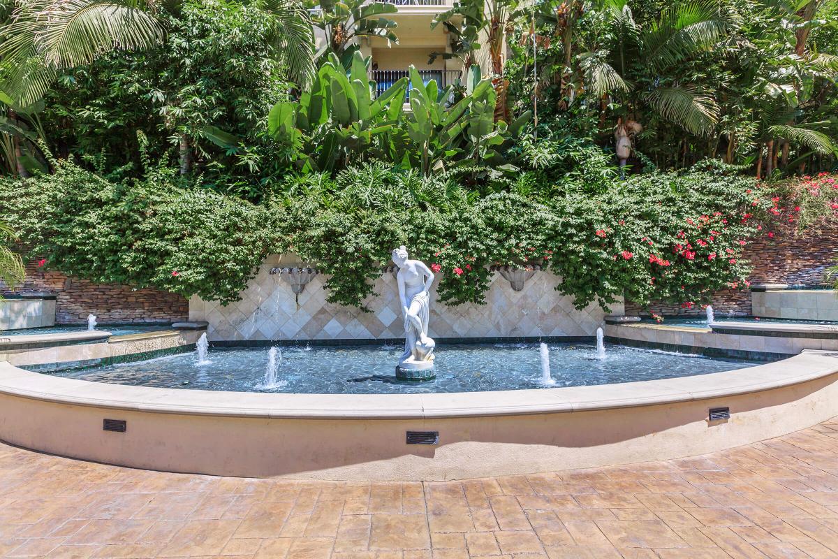 water feature with green plants