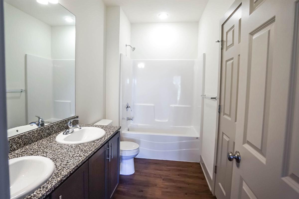 a double sink and large mirror