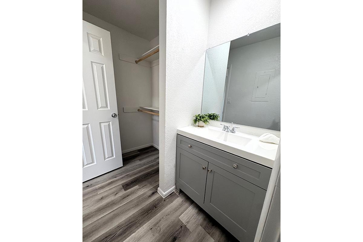 A modern bathroom featuring a gray vanity with a white sink, a large mirror above the sink, and a closet with shelving. The floor has a wood-like laminate finish, and a door leads to another room. The walls are painted white, creating a clean and bright atmosphere.