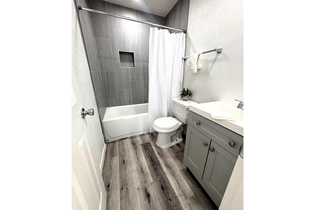 A modern bathroom featuring a bathtub with a shower, a white curtain, a toilet, a sink with cabinetry, and light-colored wooden flooring. The walls are tiled with gray and white tones, and there is a small plant on the countertop for added decor.