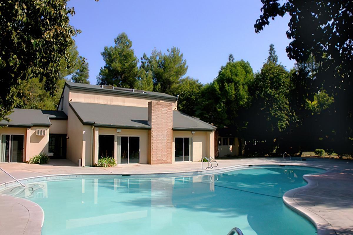 A modern building with large windows surrounded by lush green trees, featuring a swimming pool in the foreground. 