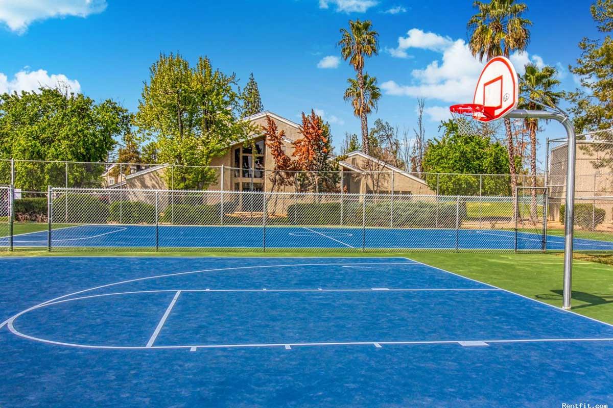 A blue basketball court with a red hoop, surrounded by green grass and palm trees. A residential building can be seen in the background, with clear blue skies and white clouds above. The court has marked lines indicating the playing area.