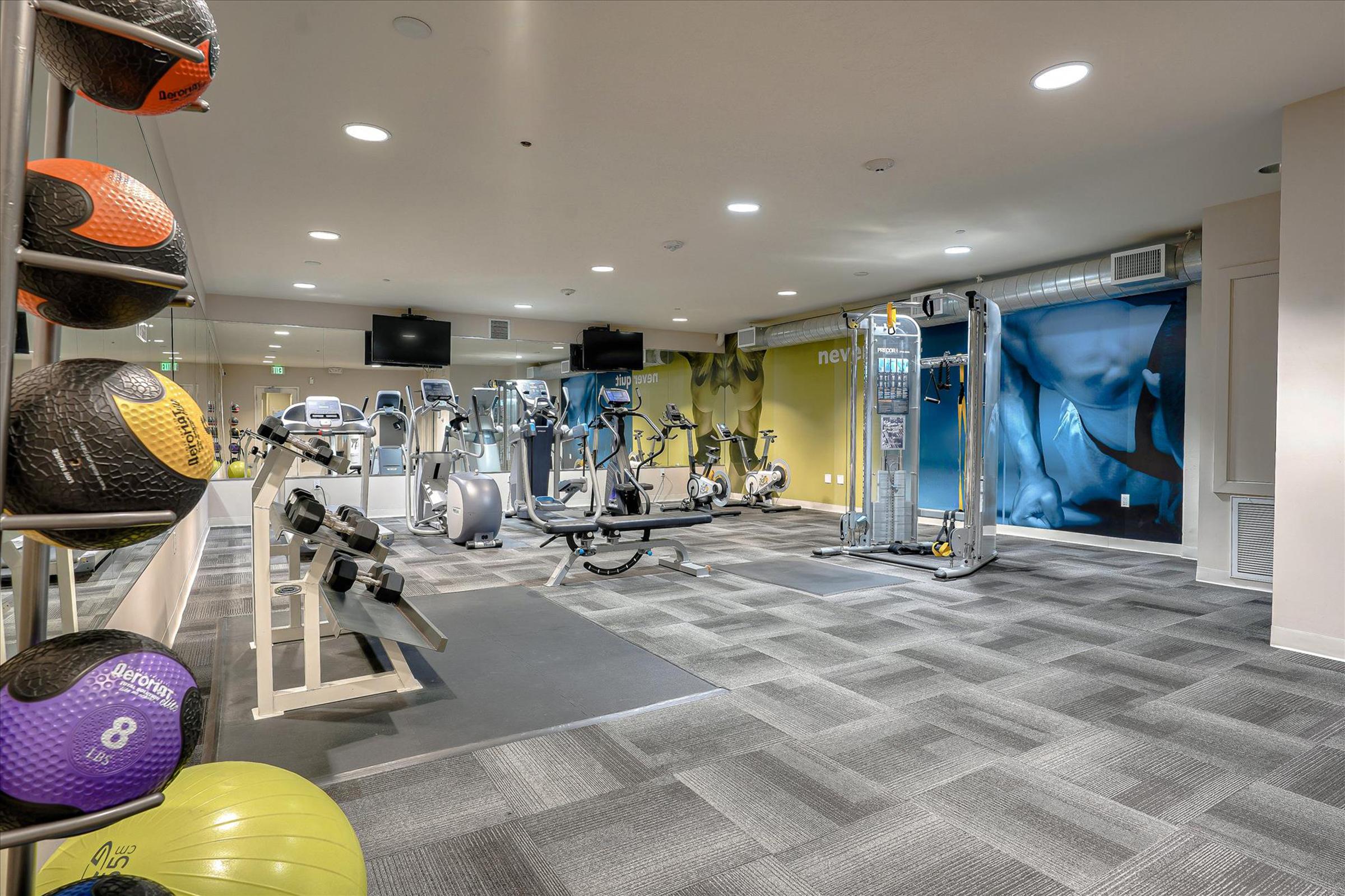 A modern gym interior featuring various fitness equipment, including treadmills, weight machines, and exercise mats. The walls are painted in warm tones, and there's a section with colorful medicine balls displayed. The space is bright and inviting for workouts.