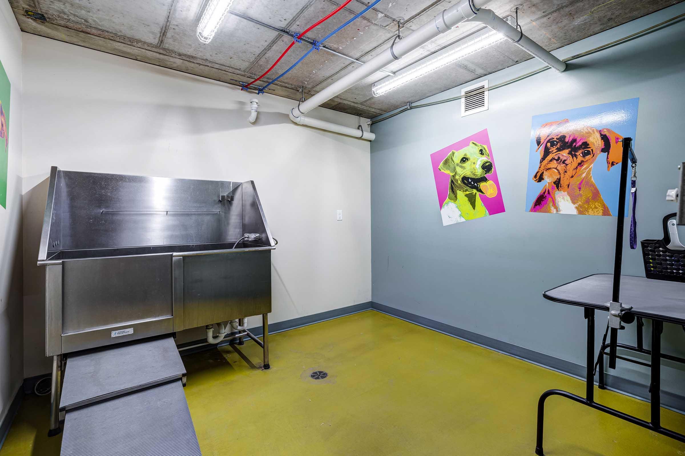A brightly lit pet grooming room featuring a stainless steel wash station on a sloped platform.