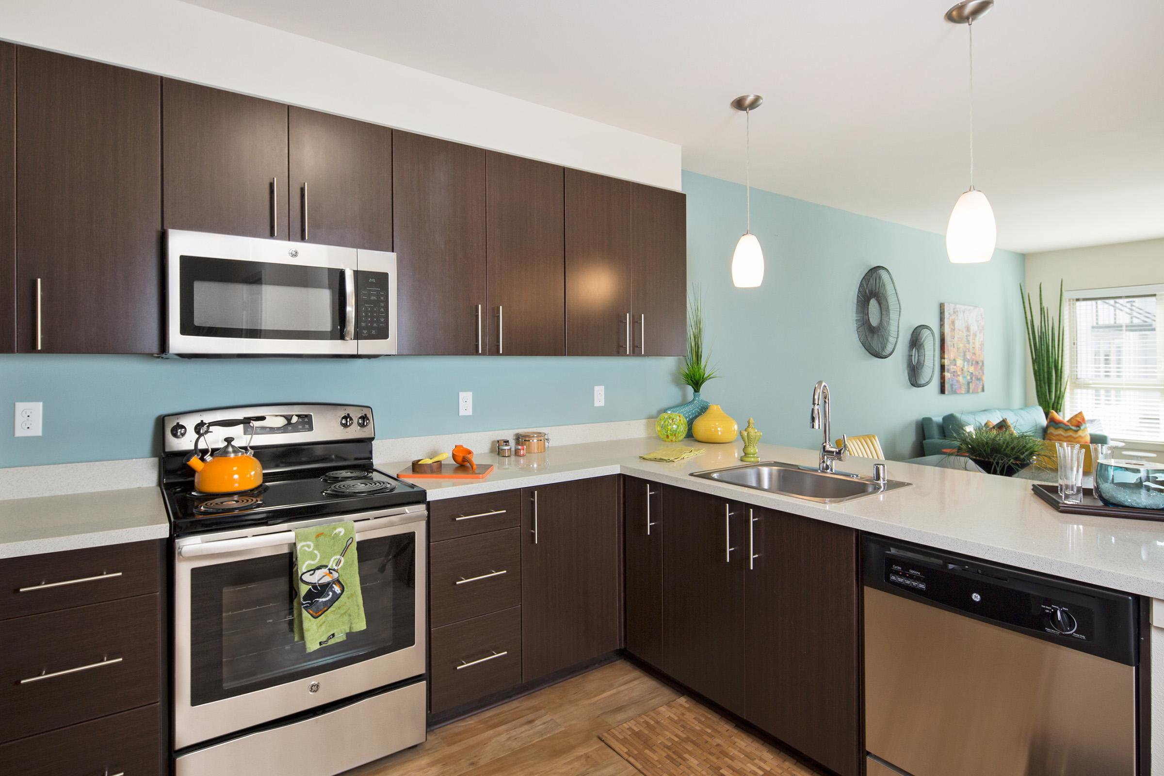 Modern kitchen featuring dark wood cabinets, stainless steel appliances, and a light blue accent wall.