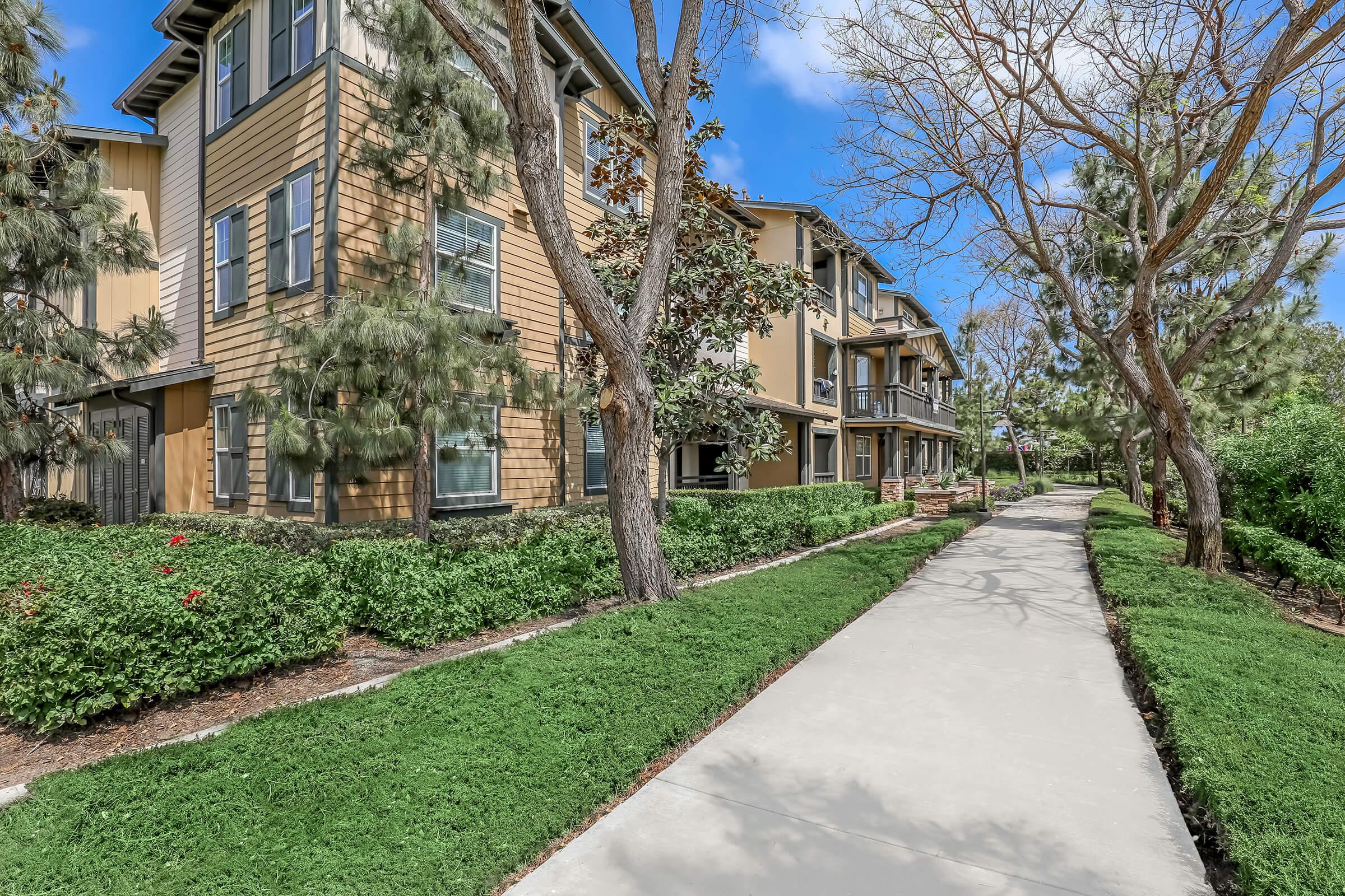 a path with trees on the side of a building