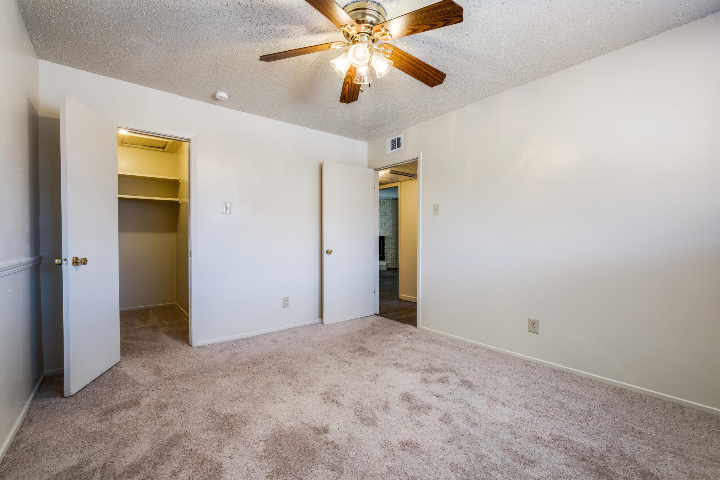 carpeted bedroom with open walk-in closet