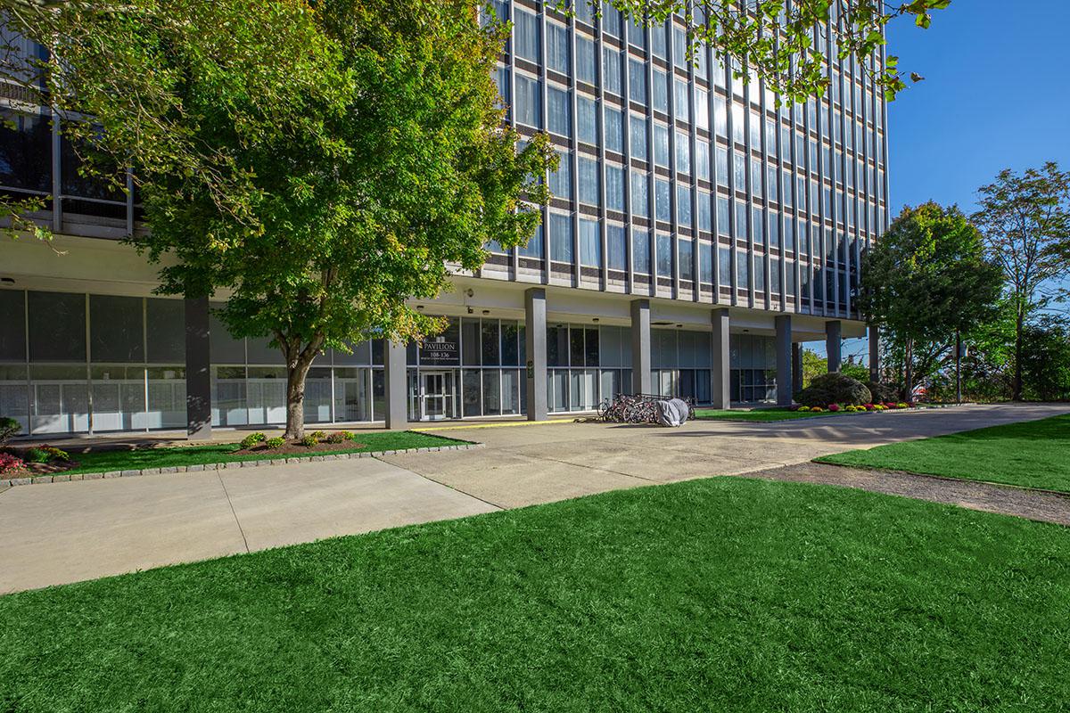 a tree in front of a building