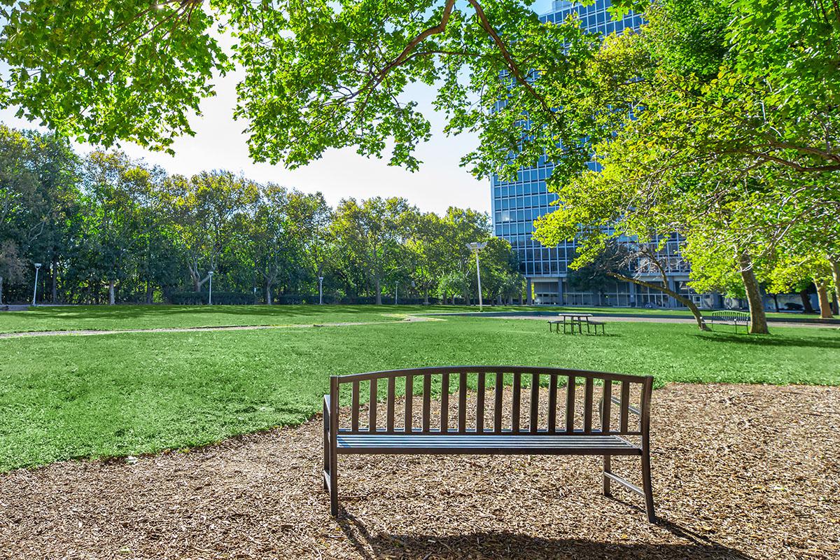 an empty park bench sitting in the grass