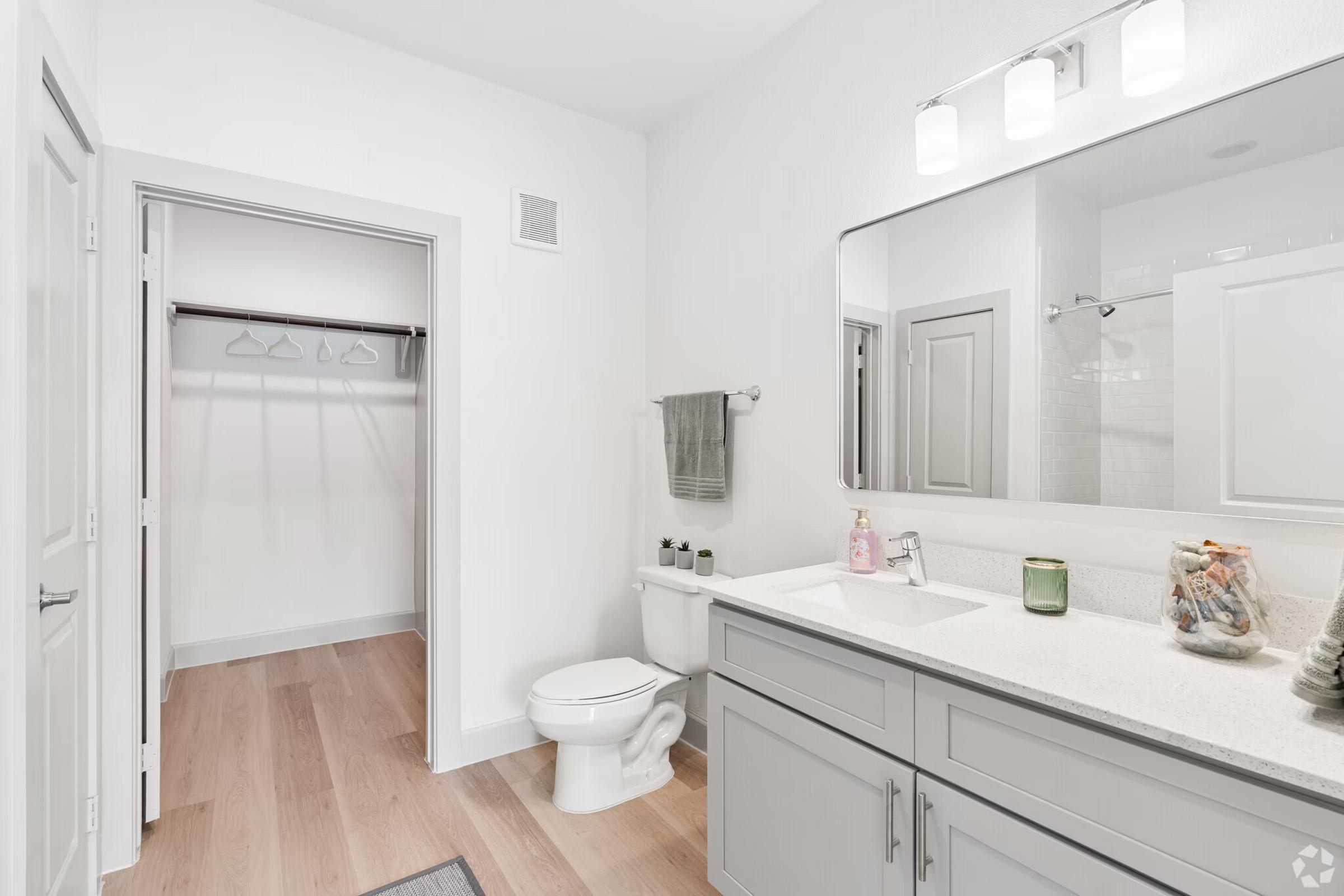 A modern bathroom featuring a light gray vanity with a large mirror, a toilet, and a walk-in closet with hanging space. The space has light-colored walls and wooden flooring, with minimal decorations for a clean and spacious appearance. Soft lighting from the ceiling adds warmth to the room.