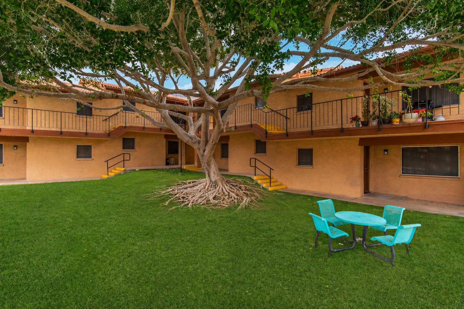 A peaceful courtyard featuring a large tree with visible roots, surrounded by two-story apartment buildings. The buildings have balconies with railings, and there's a vibrant green lawn. A small round table with two blue chairs sits on the grass, creating a cozy outdoor spot.