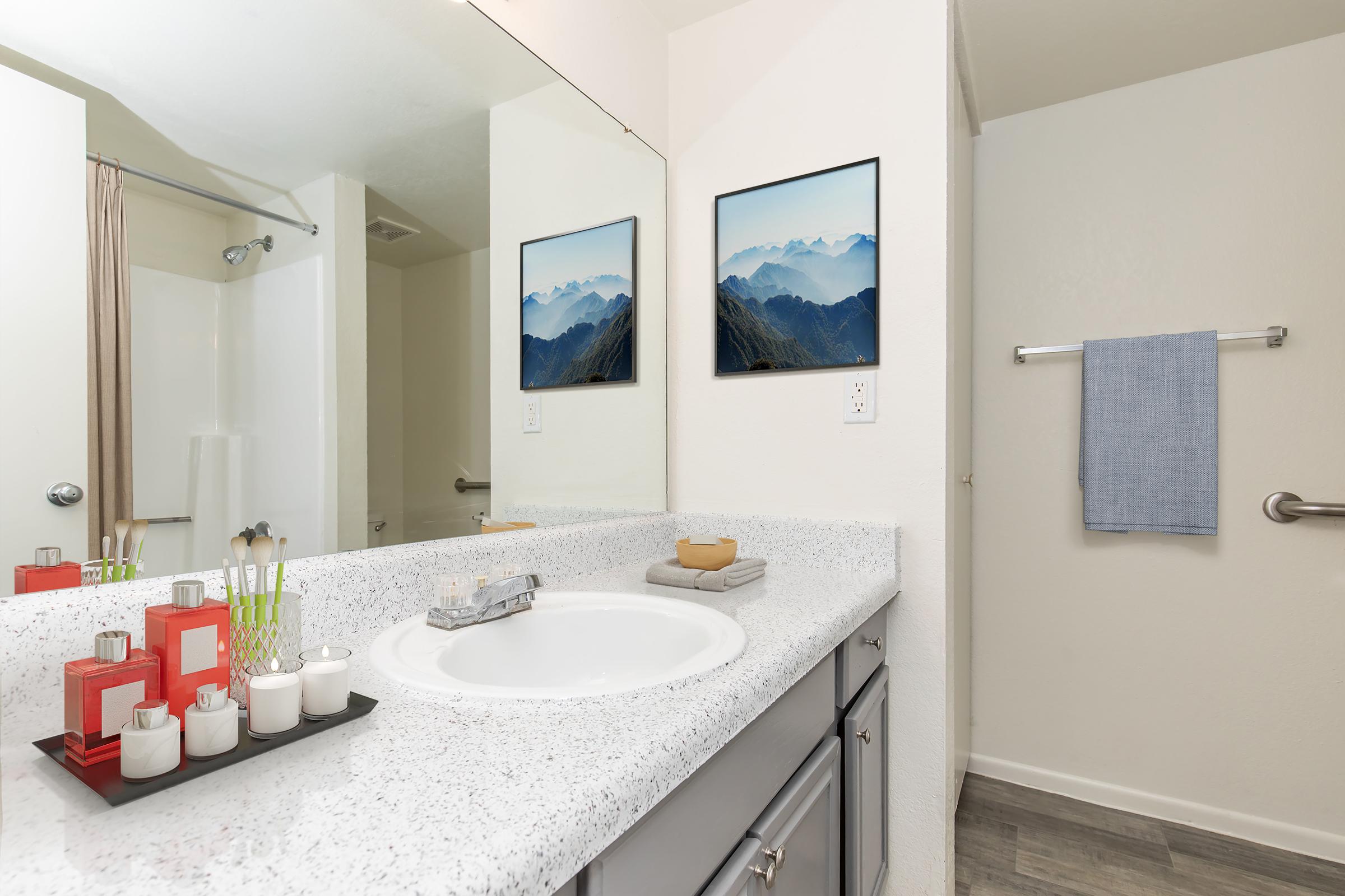 A modern bathroom featuring a white countertop with toiletries and decorative plants. Two landscape paintings hang on the wall above the sink, and a blue towel is neatly hung on a rack. The shower area is visible to the left, and neutral-colored walls add to the clean aesthetic.