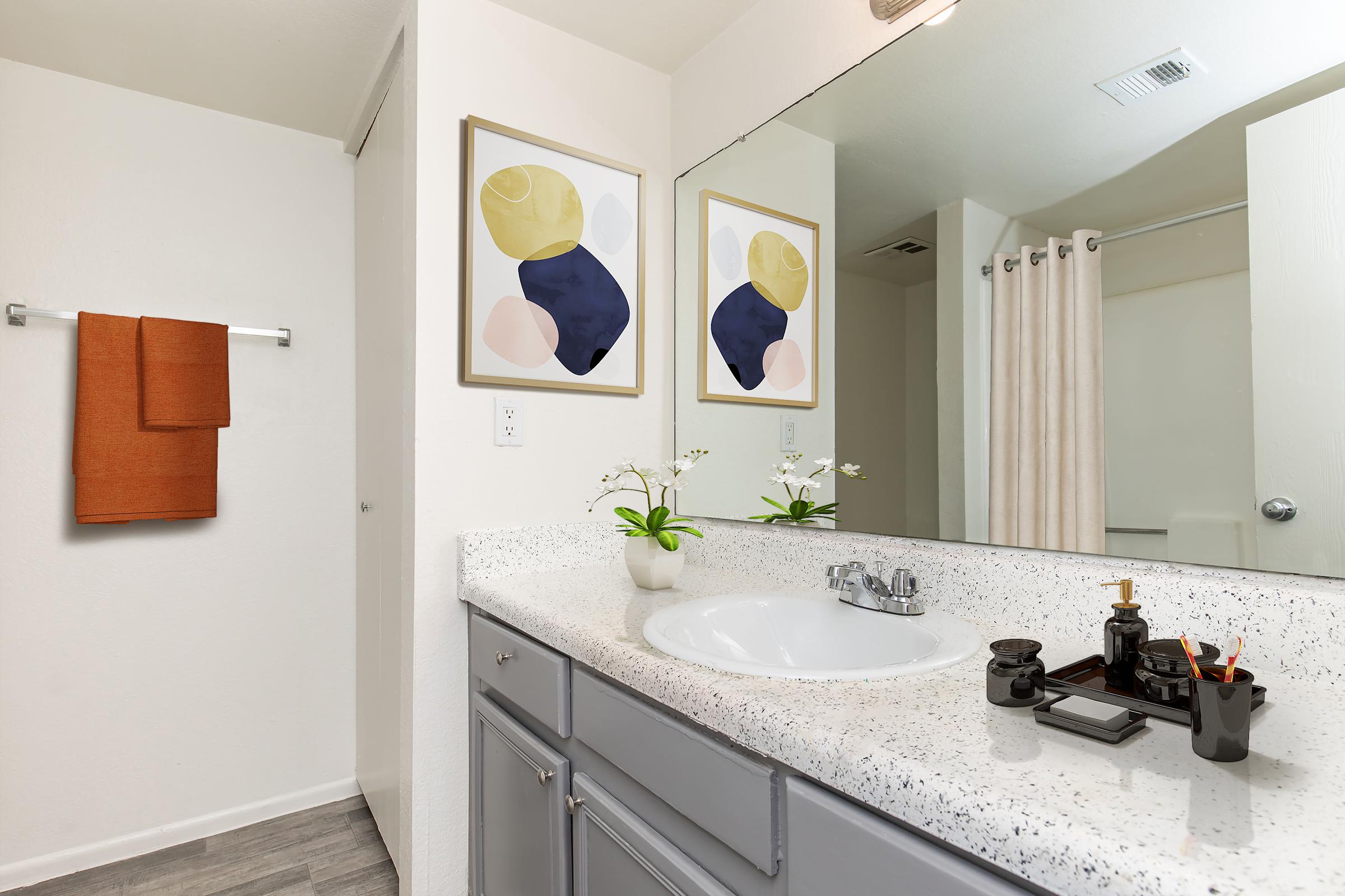 A well-lit bathroom featuring a large mirror above a grey vanity with a speckled countertop. There are two framed abstract art pieces on the wall, an orange towel hanging on a rack, and a small plant with flowers on the counter. A shower curtain is visible in the background.