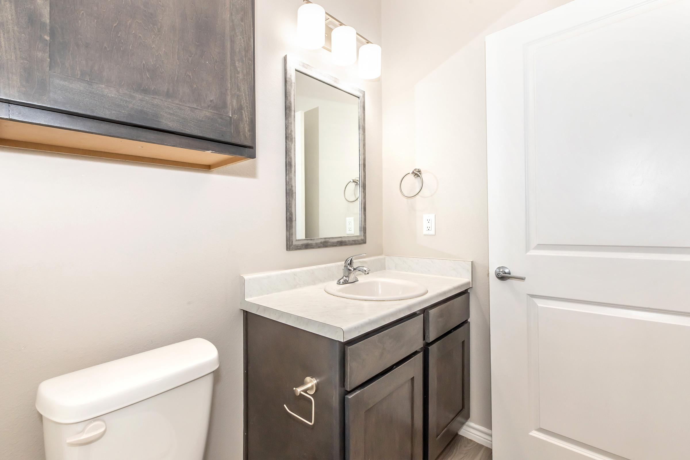 A small bathroom featuring a modern sink with a countertop, dark cabinetry, a mirror, a towel ring, and a light fixture above. The toilet is visible next to the sink, and the walls are painted in a neutral tone. A white door leads to another area, completing the compact design.